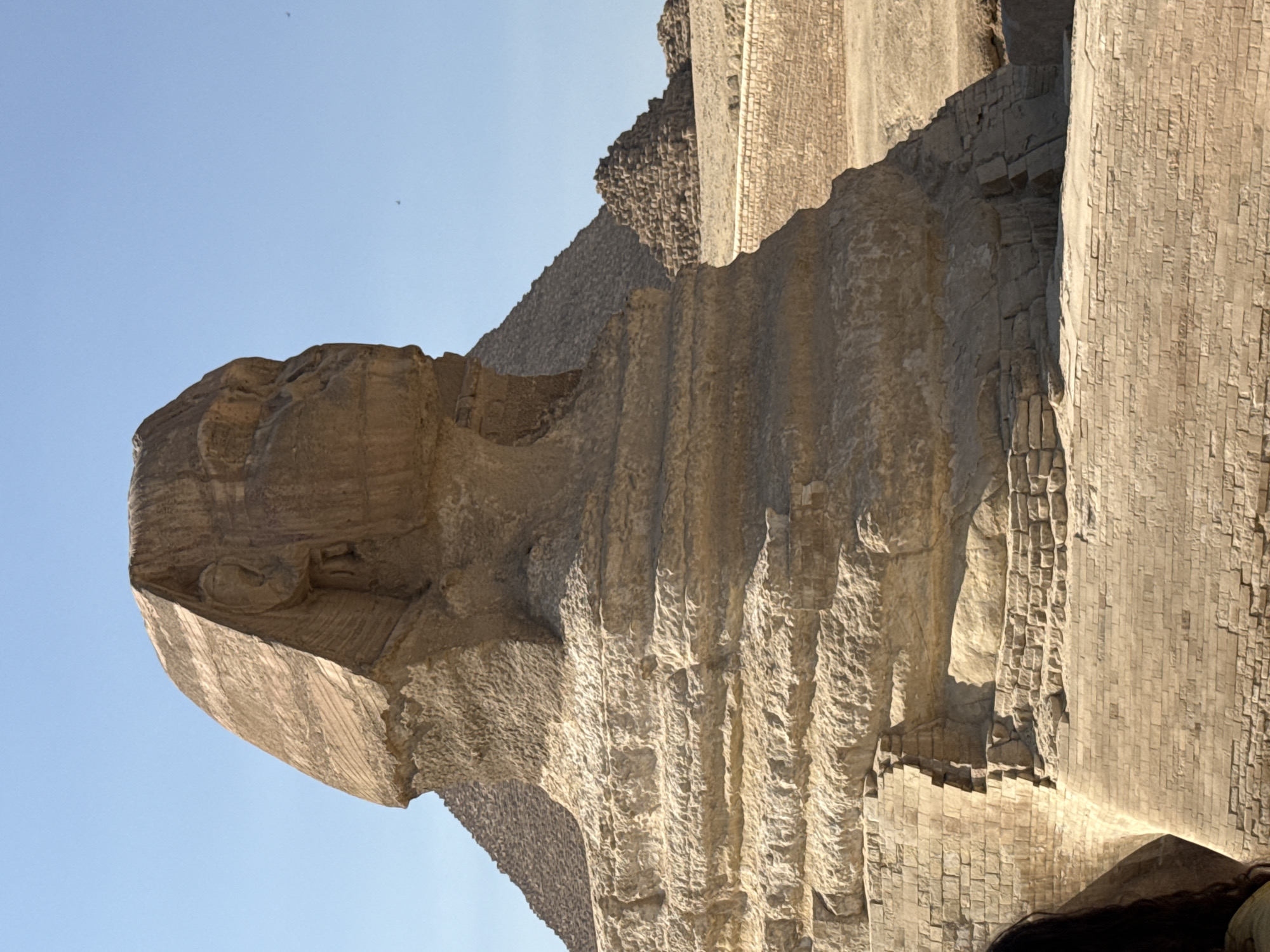 The image shows a close-up of the Great Sphinx of Giza, a limestone statue of a mythical creature with the body of a lion and the head of a human, located in Giza, Egypt. The Sphinx is made of limestone and shows signs of erosion and weathering. In the background, a pyramid, likely one of the Pyramids of Giza, is visible. The sky is clear and blue. A small portion of a person's dark hair is visible in the lower left corner of the image. The overall scene is bathed in bright sunlight.