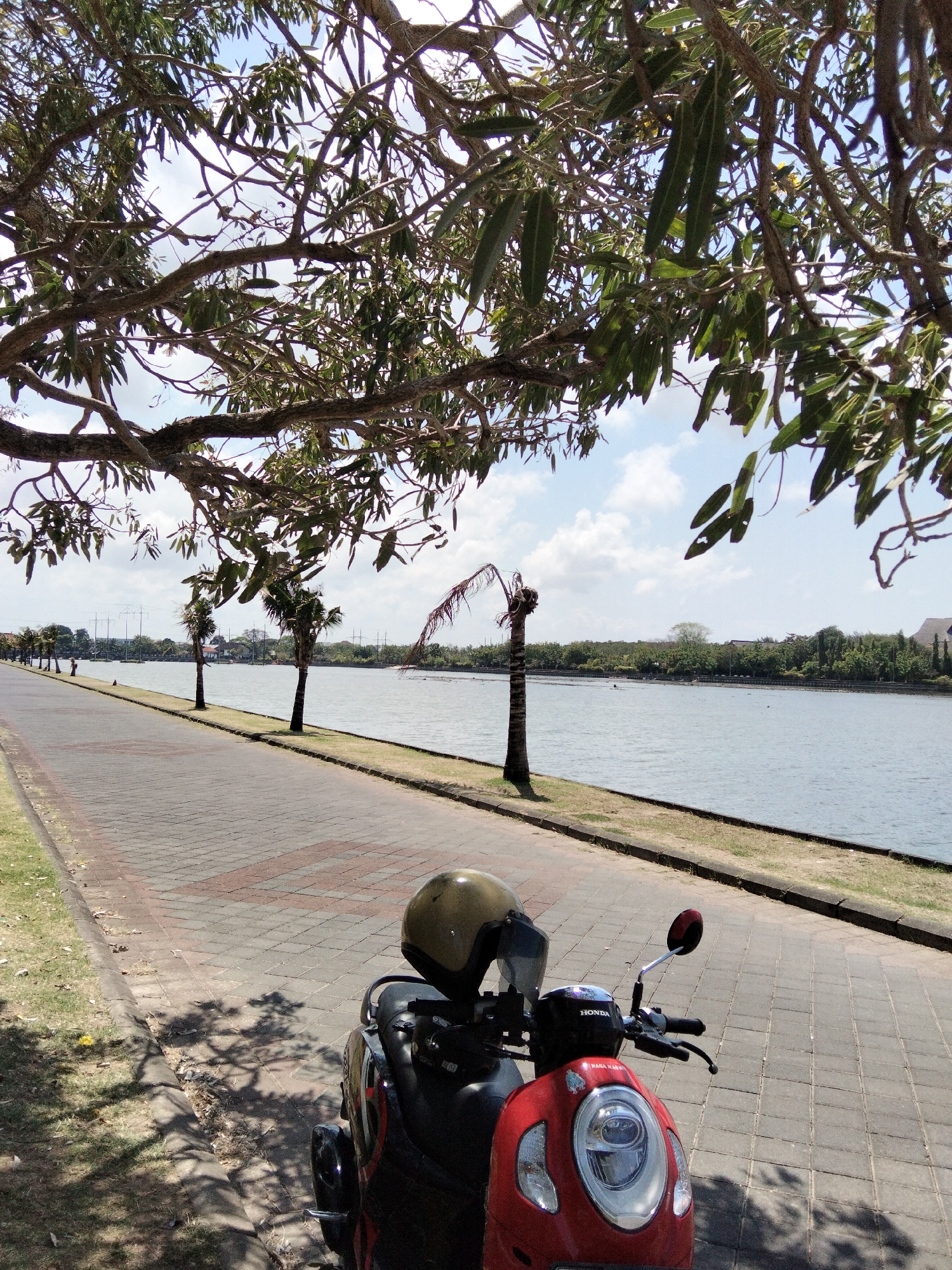 This image depicts a sunny day along a paved walkway next to a body of water, likely a canal or river, in Denpasar, Indonesia. In the foreground, a red Honda scooter with a gold helmet resting on the handlebars is parked. The walkway is constructed of light-colored pavers with some red accents. To the left of the walkway, a strip of green grass and then more grass with scattered leaves and tree shadows. On the right, the water reflects the sky and the distant tree-lined shore. A line of palm trees, some appearing somewhat withered, are spaced along the edge of the water. In the distance, buildings and more trees are visible on the far bank of the water. The sky is blue with scattered white clouds. Overhanging the scene from above is a dense canopy of tree branches and leaves. The overall impression is a peaceful outdoor scene, possibly a recreational area.