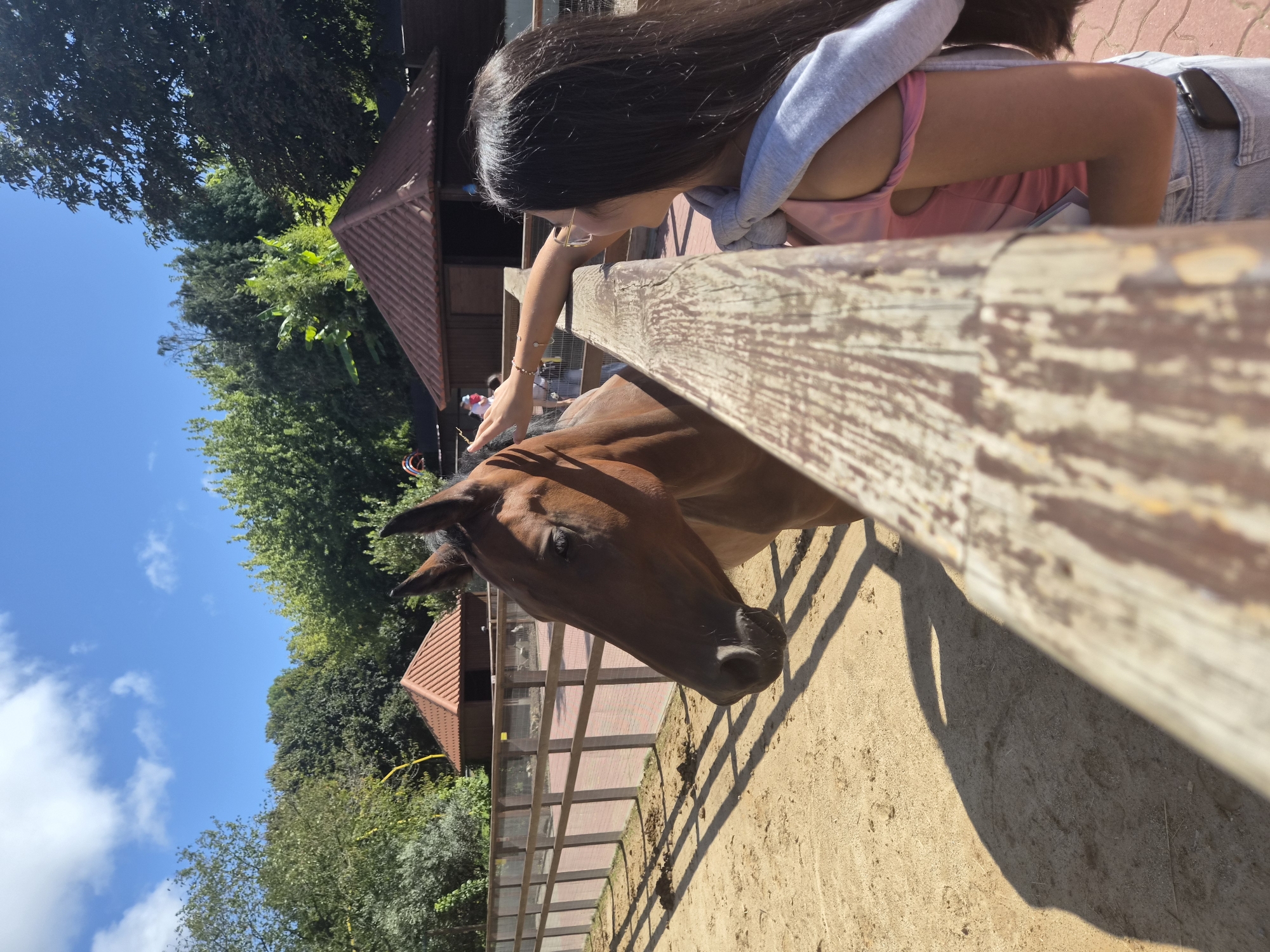 The image depicts a young woman interacting with a brown horse at an outdoor stable. The woman, facing away from the camera, wears a pink tank top and denim shorts, with a gray sweater draped over her shoulders. She is reaching out to pet the horse's head. The horse is positioned within a wooden fenced enclosure filled with sandy soil. In the background, there are two small wooden structures with red-tiled roofs, surrounded by lush green trees. The scene suggests a sunny day with a bright blue sky and scattered white clouds. The presence of stables and the overall setting indicate this is likely an equestrian facility. This scene is located in Vila Nova de Gaia, Portugal, specifically at Quinta da Bouzada, a rural property known for its stables and horse riding activities.