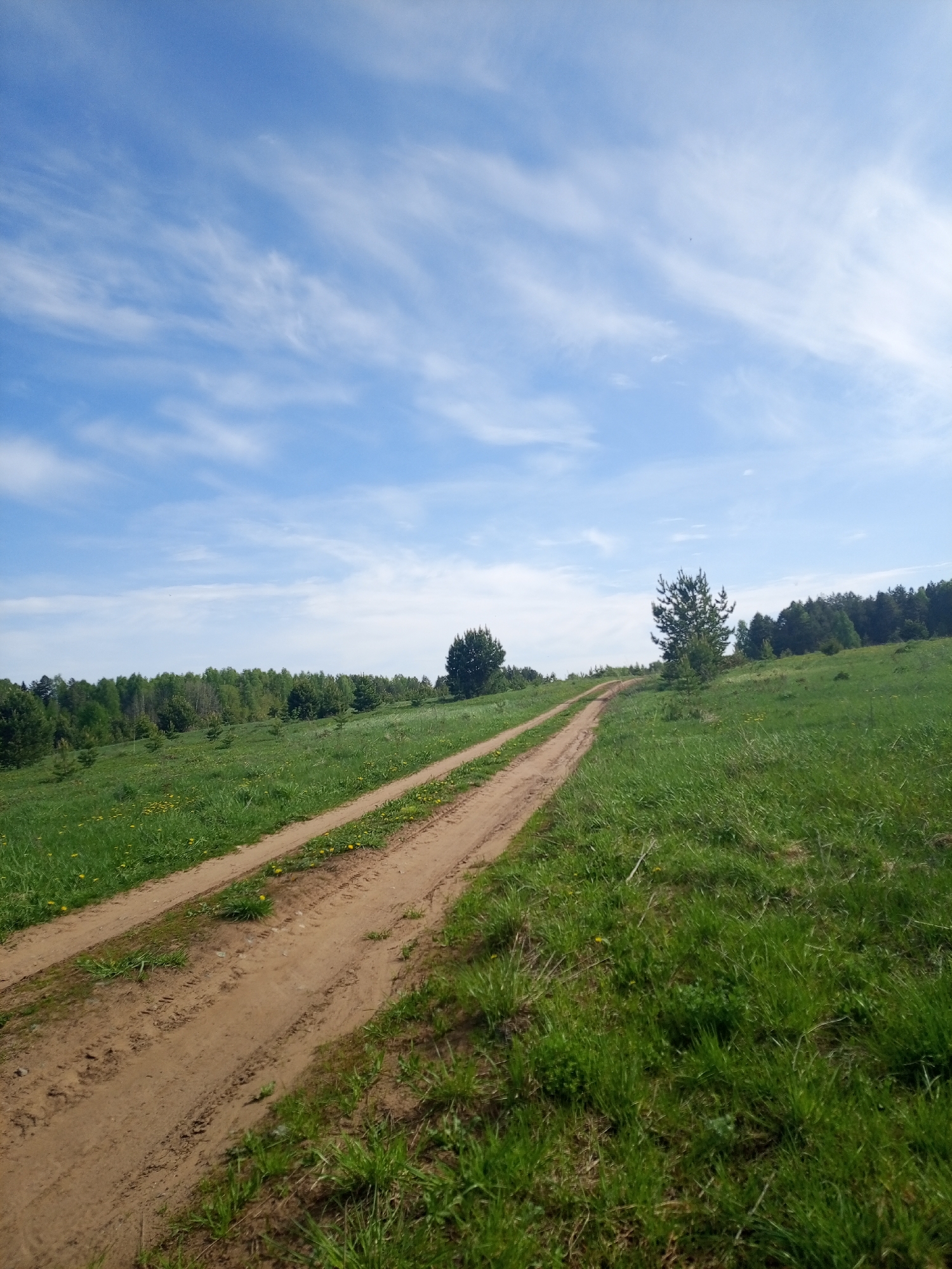The image depicts a dirt road traversing a grassy field under a partly cloudy blue sky. The road, marked by parallel tire tracks, leads into the distance, disappearing over a slight rise. Patches of yellow wildflowers dot the green grass. A line of trees is visible on the horizon.