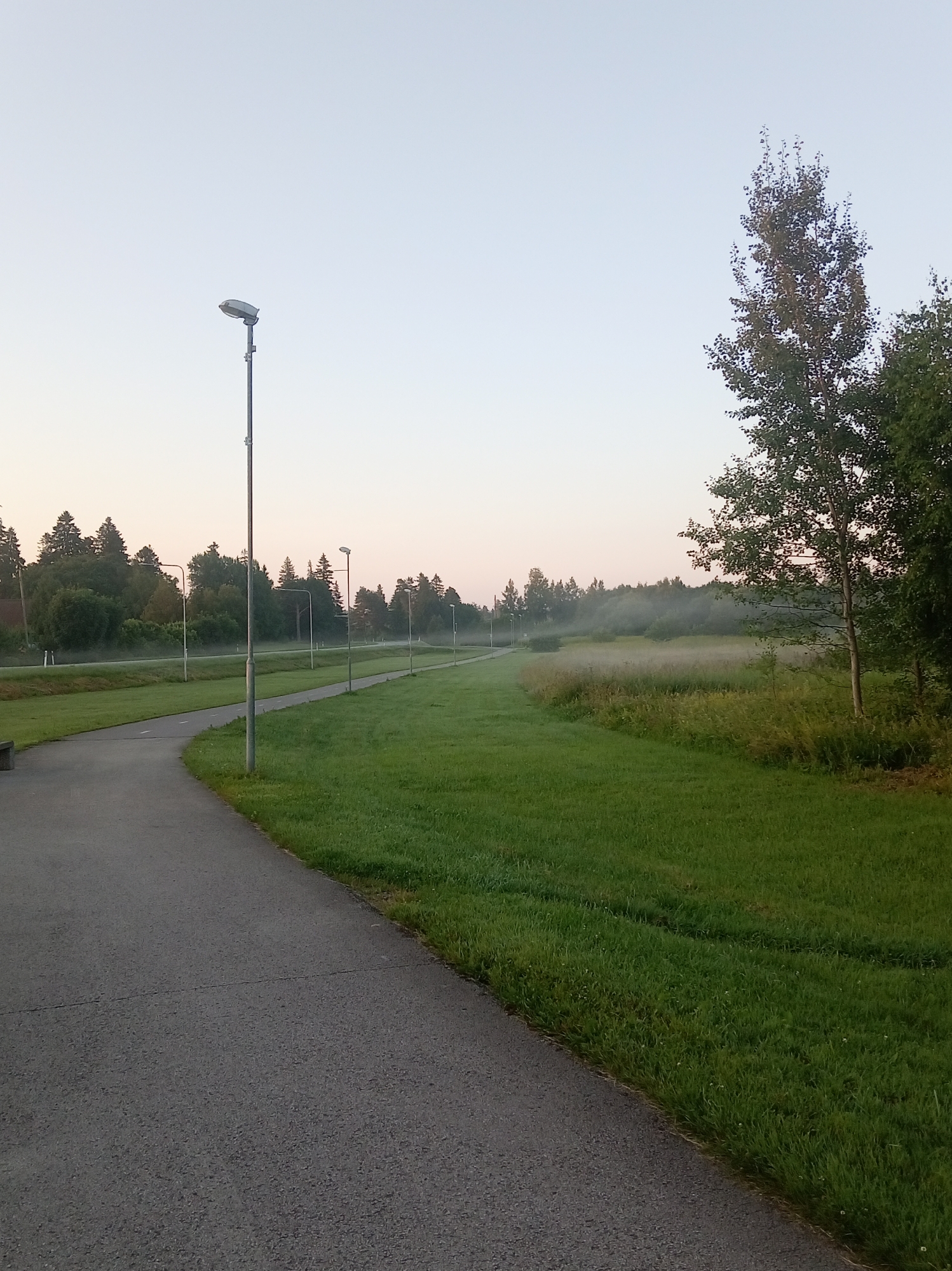 The image depicts a paved pathway curving through a grassy park area with a line of streetlights visible along the path. The sky is a pale, clear gradient from light blue to a soft pinkish hue, suggesting either early morning or late evening. A cluster of trees forms a distant treeline, and a light fog or mist hovers over a patch of taller grass in the middle ground. The overall impression is one of a serene, undeveloped parkland. The location is Tapa, Estonia, evident from the specific style of the streetlights and the characteristic vegetation and landscape typical of the region.