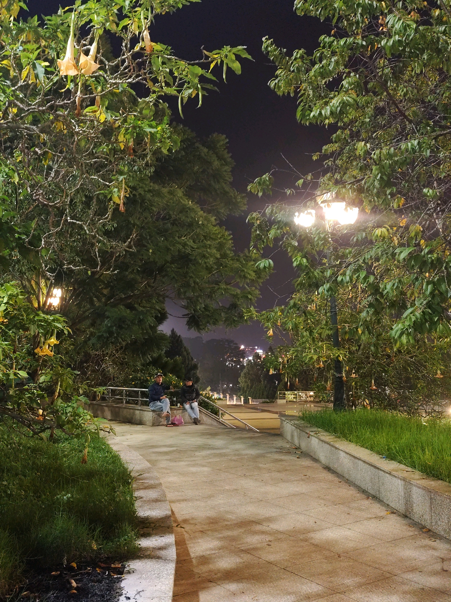The image captures a nighttime scene in Da Lat, Vietnam, likely a park or public garden. The foreground is dominated by a paved walkway that curves to the right, bordered by a granite planter box filled with vibrant green grass. Lush trees with large green leaves and delicate, trumpet-shaped yellow flowers frame the walkway and the scene. In the mid-ground, two individuals are seated on a low concrete wall. The person on the left, wearing a dark jacket and blue jeans, is looking towards the right. The person on the right, in a dark jacket and light-colored jeans, is looking downwards. Between them, on the wall, is a pink bag. A lamppost with two glowing bulbs is visible behind the trees on the right, casting a warm light on the surroundings. In the background, city lights twinkle, suggesting the location is within or near a populated area of Da Lat. The overall atmosphere is serene and slightly mystical due to the nighttime setting and the soft lighting.