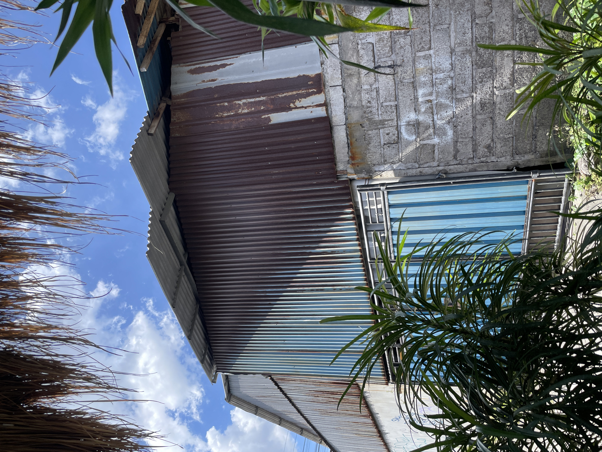 The image depicts a weathered corrugated metal building with a sloped roof, situated in North Kuta, Indonesia. The metal siding exhibits signs of rust and wear, with patches of brown and lighter gray. The building's construction appears to be a combination of corrugated metal and concrete blocks, some of which are painted white. A blue metal gate is visible on the lower section of the building, partially obscured by lush green foliage. The sky above is a bright blue, dotted with fluffy white clouds. The scene is framed at the top by the dry thatch of a roof overhang, suggesting an outdoor setting.