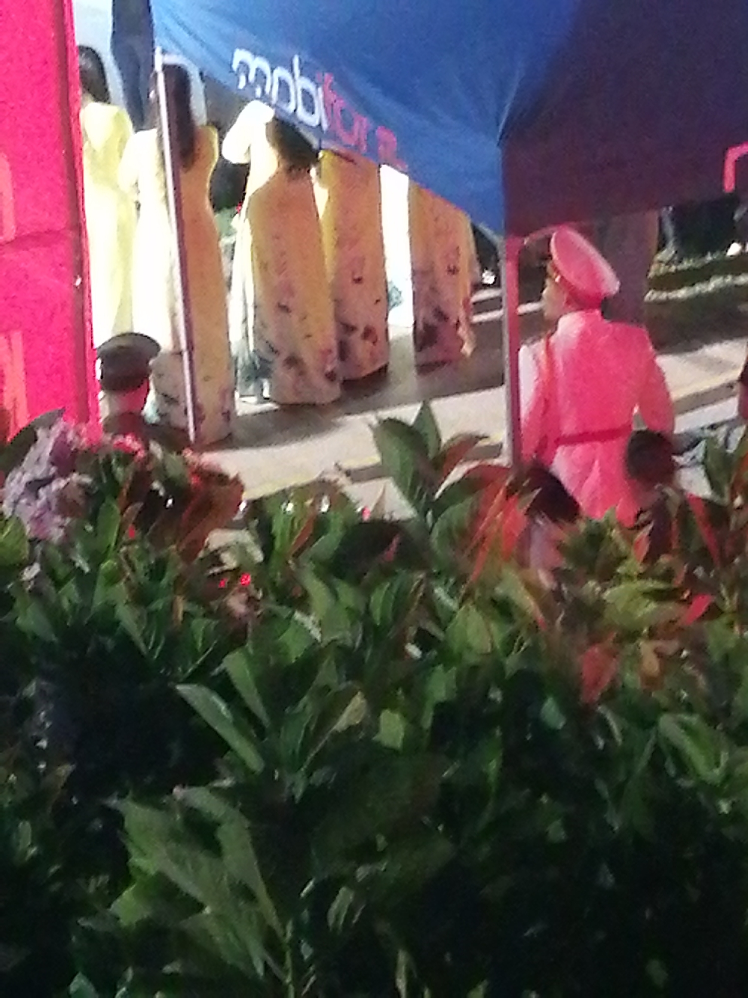 In Da Lat, Vietnam, a group of individuals stands beneath a blue and purple tent. Among them, a person in a bright pink uniform, complete with a hat and sash, is visible from the back. To their left, several people are seen in long, light-colored garments, some with patterned designs. The foreground is dominated by lush green foliage.