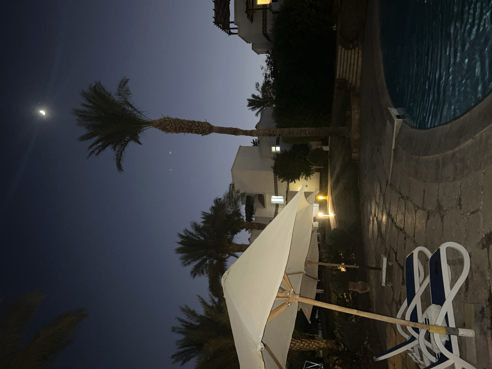 A nighttime scene at a resort in Sharm El Sheikh, Egypt, features a swimming pool area. The sky is dark blue with a crescent moon visible. Palm trees dot the landscape, with one tall palm tree standing prominently in the center. In the foreground, two white lounge chairs with blue cushions are set up under large white umbrellas. The ground is paved with stone tiles, and soft lighting emanates from lamps placed around the area. White resort buildings with illuminated windows are visible in the background, surrounded by lush greenery. The pool water is calm and reflects the ambient light.