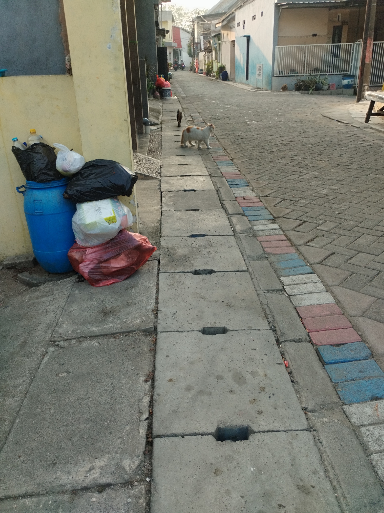 A straight, paved alleyway in a residential area of Surabaya, Indonesia is captured in this medium-shot, low-angle photograph. The alley is lined with houses on the right, constructed from concrete with white fencing. On the left, a yellow wall separates the alley from a residential unit. Several black and clear plastic garbage bags are piled next to a large blue plastic barrel. A red plastic bag, containing what appears to be meat or food scraps, is situated at the bottom of the pile. Two cats are present in the alley; one is a dark brown or black cat near the garbage, and a lighter colored cat with orange markings is walking down the alley. The alleyway itself is paved with interlocking bricks in a herringbone pattern, with a decorative border of red, white, and blue bricks along the edge of the concrete drainage channel. The sun appears to be low in the sky, casting long shadows and suggesting it is either early morning or late afternoon.