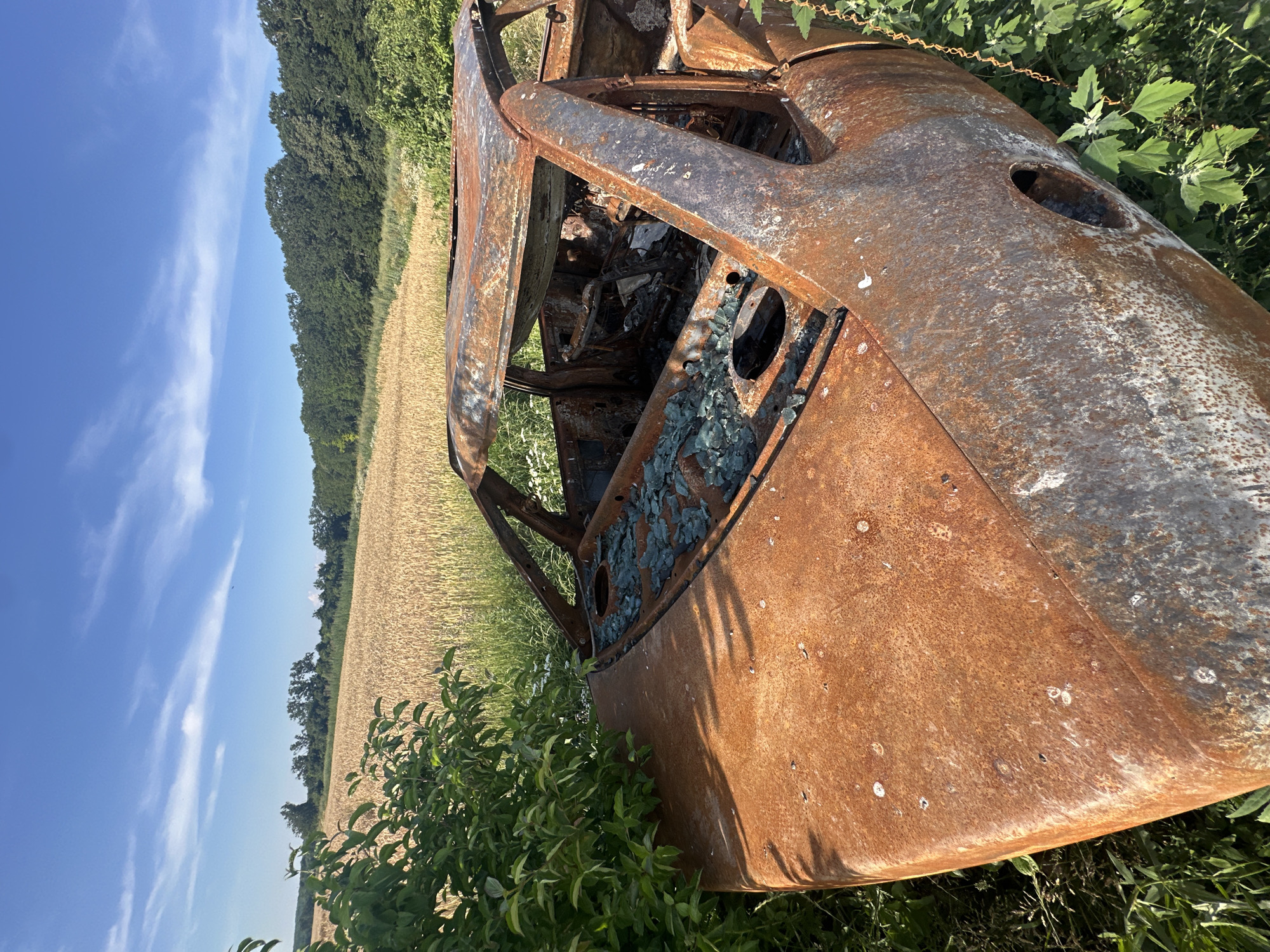 A severely damaged and rusted car sits in a field of golden wheat under a bright blue sky with wispy white clouds. The car is burnt out, with its roof and interior heavily charred and broken glass scattered across the dashboard and seats. Green foliage encroaches on the car from the left and right. The background features a line of trees and more wheat fields, suggesting a rural or semi-rural location, potentially Makiv, Ukraine. The scene appears to depict a vehicle that has been destroyed by fire and left to decay.