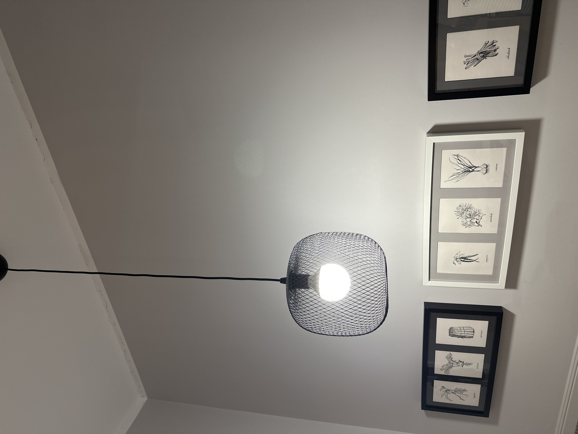 The image shows a section of a wall and ceiling in an interior space. A black pendant light fixture hangs from the ceiling, emitting a bright white light from an exposed bulb. Below the light, three framed pieces of art are displayed on the wall. The leftmost frame is black and contains three botanical illustrations, each labeled with text. The middle frame is white and contains two botanical illustrations, also labeled. The rightmost frame is black and contains two more botanical illustrations, one of which is partially visible. The wall and ceiling are painted in a neutral, light gray color. There is a slight gap or imperfection visible along the top edge of the wall where it meets the ceiling. The overall impression is that of a modern, minimalist decor. The provided hints show close-ups of the ceiling line, the pendant light, and the framed artwork. The location is stated to be in the city of Minsk, Belarus.
