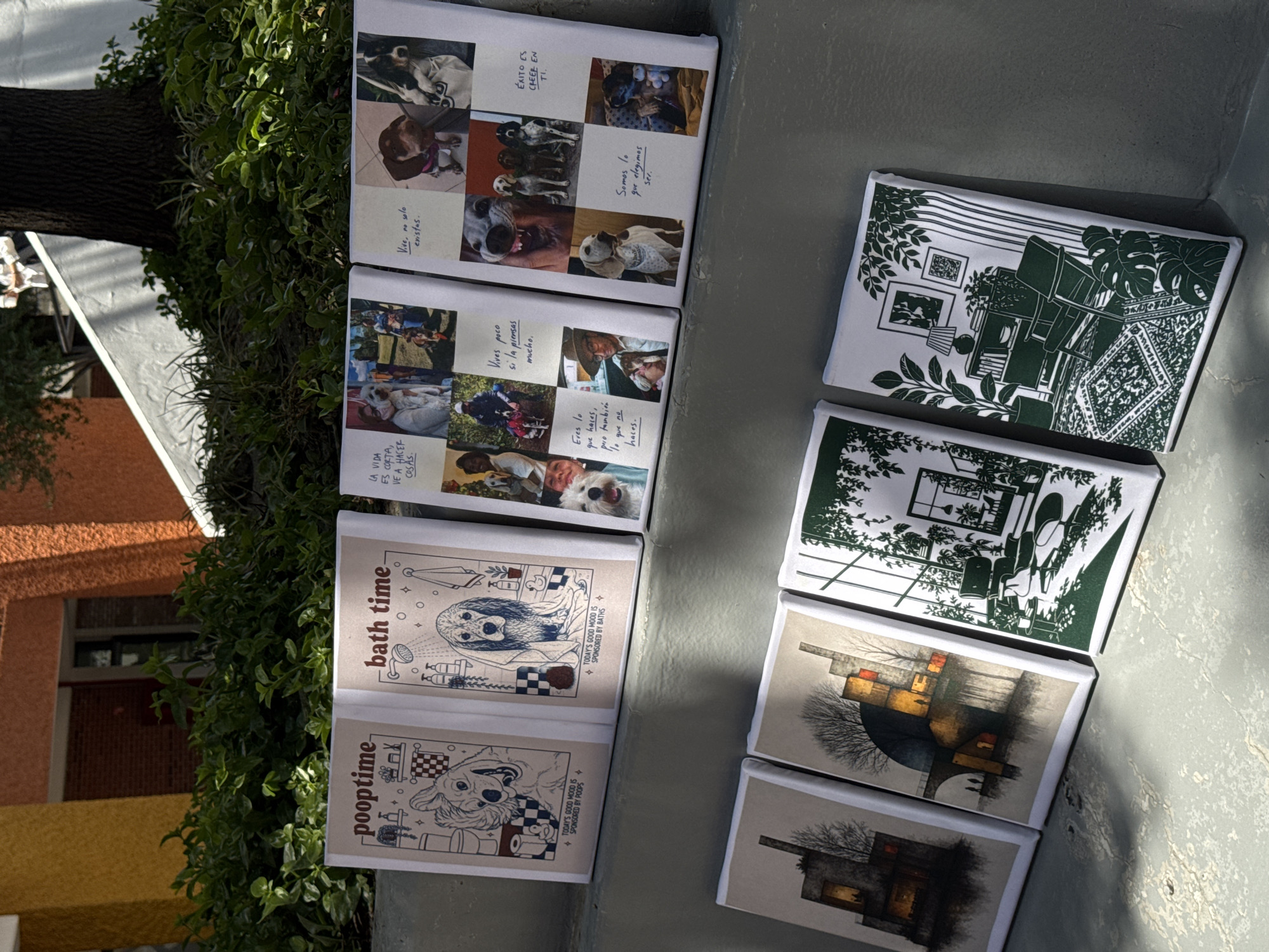 The image shows a collection of small, square art pieces displayed on a gray surface, possibly a sidewalk or ledge, likely in the city of San Andrés Cholula, Mexico. The art pieces are arranged in two columns.
The left column features art with a canine theme, including depictions of dogs in various poses and activities. One piece is labeled "bath time," and another is labeled "pooptime." Some of the art includes Spanish phrases or quotes.
The right column features art with a diverse range of subjects. One image shows an interior scene with plants and furniture. Others depict architectural or landscape scenes, possibly with trees and buildings.
The art pieces are placed next to a small bush or leafy plant, and there is evidence of nearby buildings. There are no people visible. The scene is well-lit, suggesting an outdoor location during daylight hours.