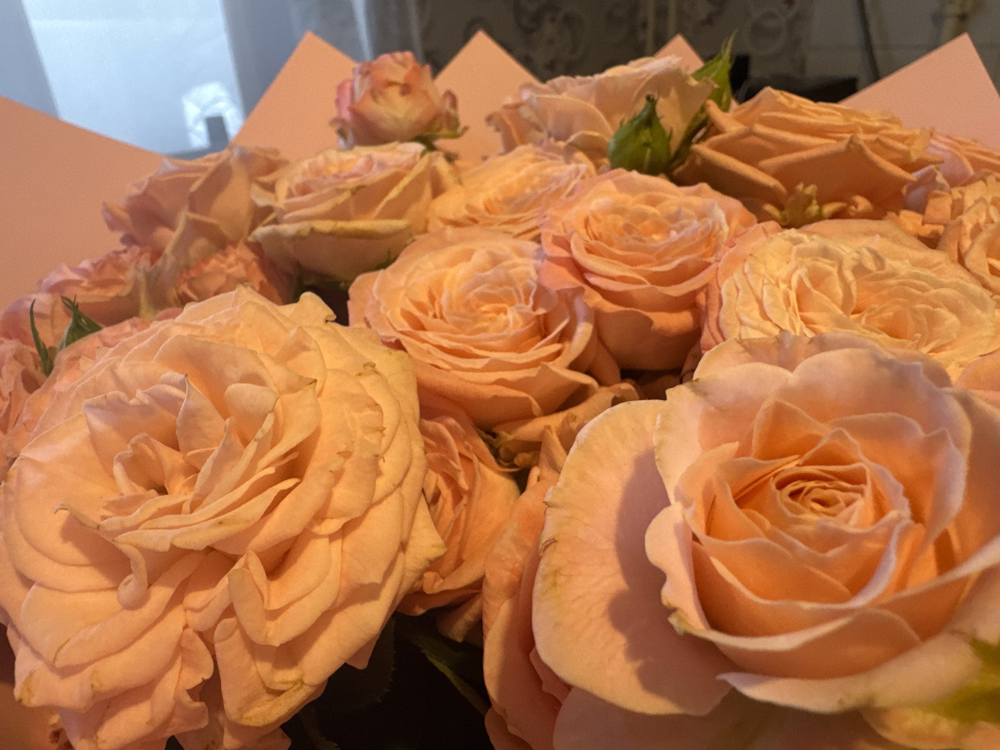 A close-up shot captures a bouquet of peach-colored roses, predominantly in full bloom. The roses are arranged with some buds and green stems visible among the dense floral mass. The bouquet is contained in light pink paper. The backdrop is blurred and out of focus, with hints of a window and a dark surface. The location is unknown.