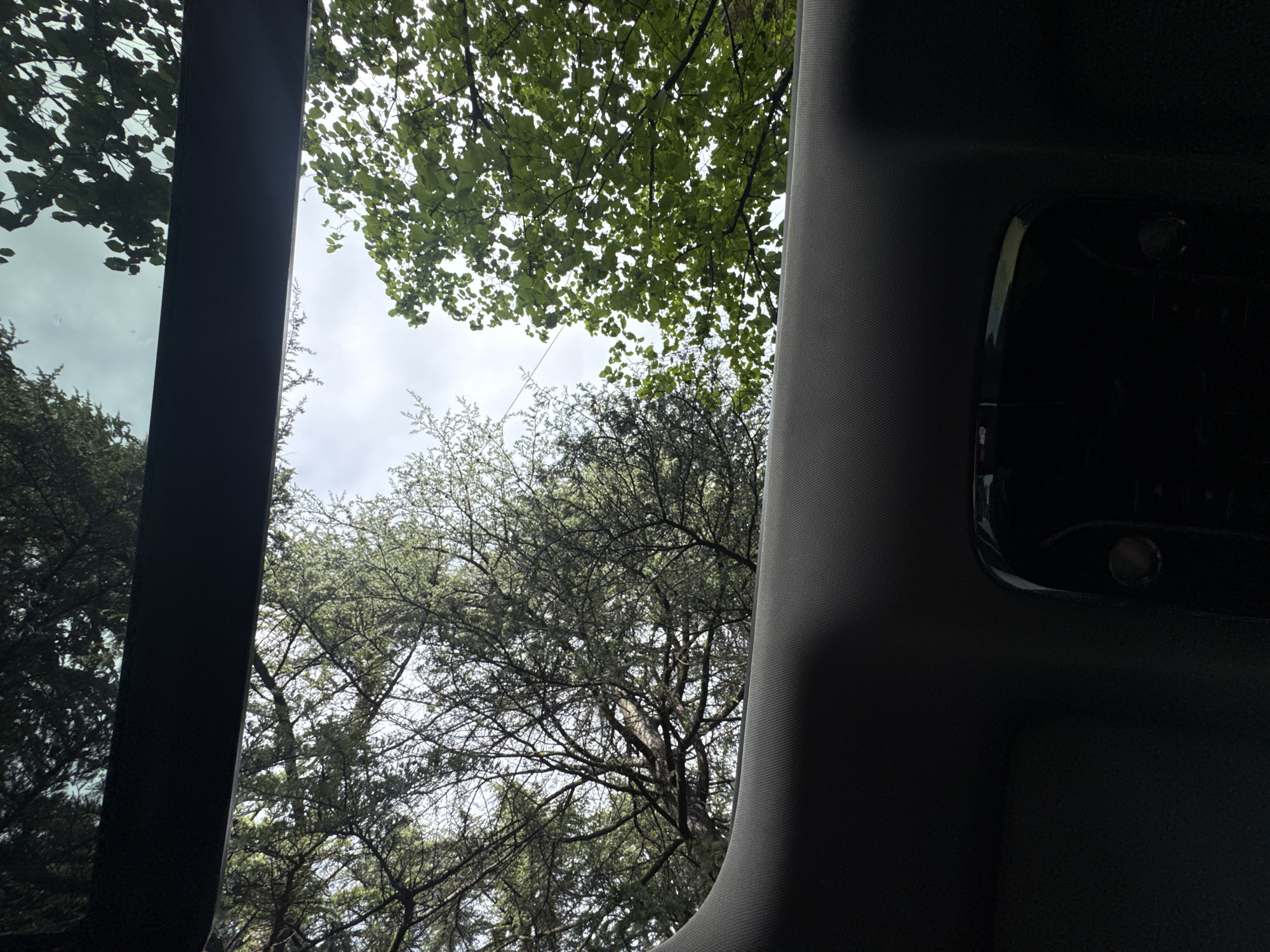The image shows a view of trees and sky through a car sunroof. The sunroof frame and interior car components are visible. The location in the city of Sochi, Russia, cannot be determined from the visual information.