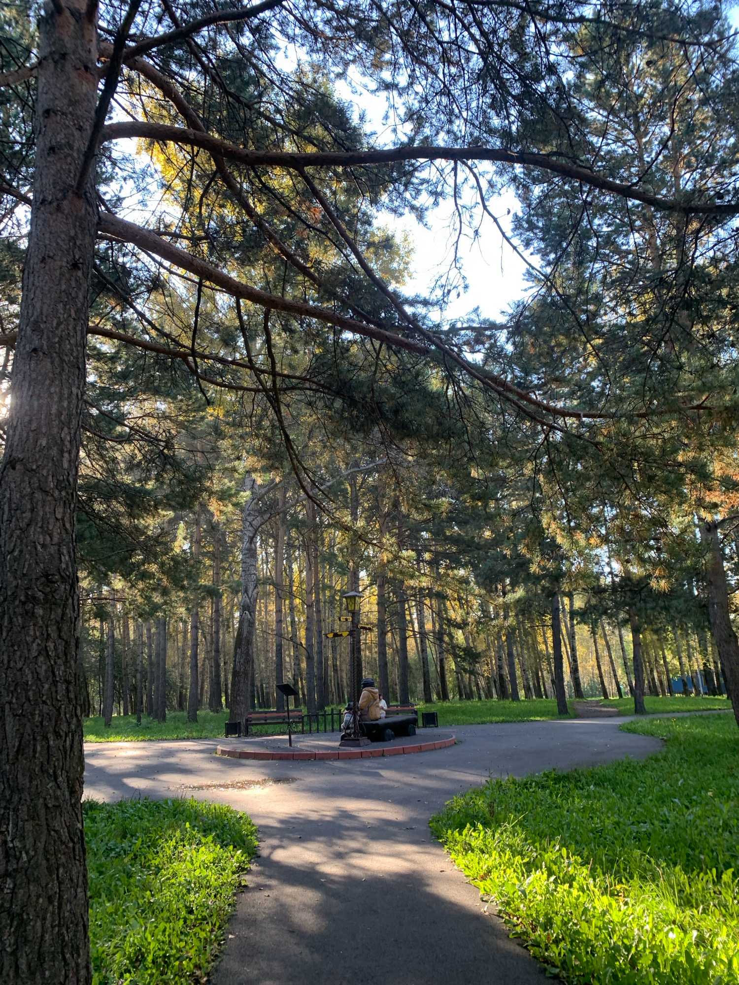 The image depicts a park scene in Prokopyevsk, Russia. The foreground features a large tree trunk on the left, with a paved path curving into the midground. To the right of the path is a patch of vibrant green grass. In the midground, a paved area forms a circle around a bench, where a person is seated wearing a light-colored jacket and dark pants. A lamppost is visible to the right of the bench. The background is dominated by a dense forest of tall pine trees, with sunlight filtering through the branches, creating a dappled effect on the ground. The sky is bright and appears to be clear. The overall atmosphere is one of a peaceful, sunlit autumn day in a wooded park.