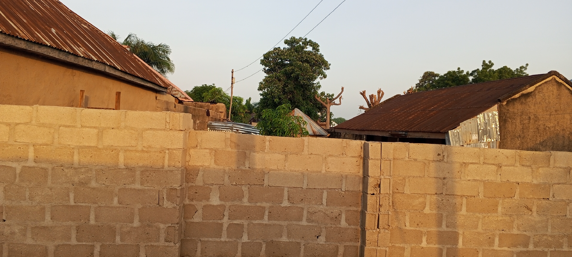 The image depicts a scene in Jalingo, Nigeria, with a focus on residential structures and a surrounding wall. In the foreground, a substantial wall constructed from light-brown cinder blocks stretches horizontally across the frame. The wall shows some signs of wear and tear, with visible mortar lines between the blocks and some minor imperfections.
Behind the wall, various buildings with corrugated metal roofs are visible. The roof on the left appears to be a rusty, reddish-brown, and is attached to a light-brown, textured building. Two wooden posts stick up from behind the cinder block wall in front of this building. To the right, another building features a similar rusty, corrugated metal roof, with a section of corrugated aluminum siding visible on its side. This building is also constructed from a light-brown, textured material, possibly stucco or rendered concrete.
In the middle ground and background, lush green trees are interspersed among the structures, suggesting a semi-urban or rural setting. One prominent, large tree with dense foliage stands out, while other trees with more sparse canopies are also present. Some of the trees have been pruned, with bare branches visible. A utility pole with wires stretching across the sky is also present, indicating the presence of electricity or communication infrastructure. The sky is a pale, clear blue, suggesting daylight with no cloud cover. The overall impression is a snapshot of everyday life in a residential area in Jalingo, Nigeria, characterized by its functional architecture and abundant vegetation.