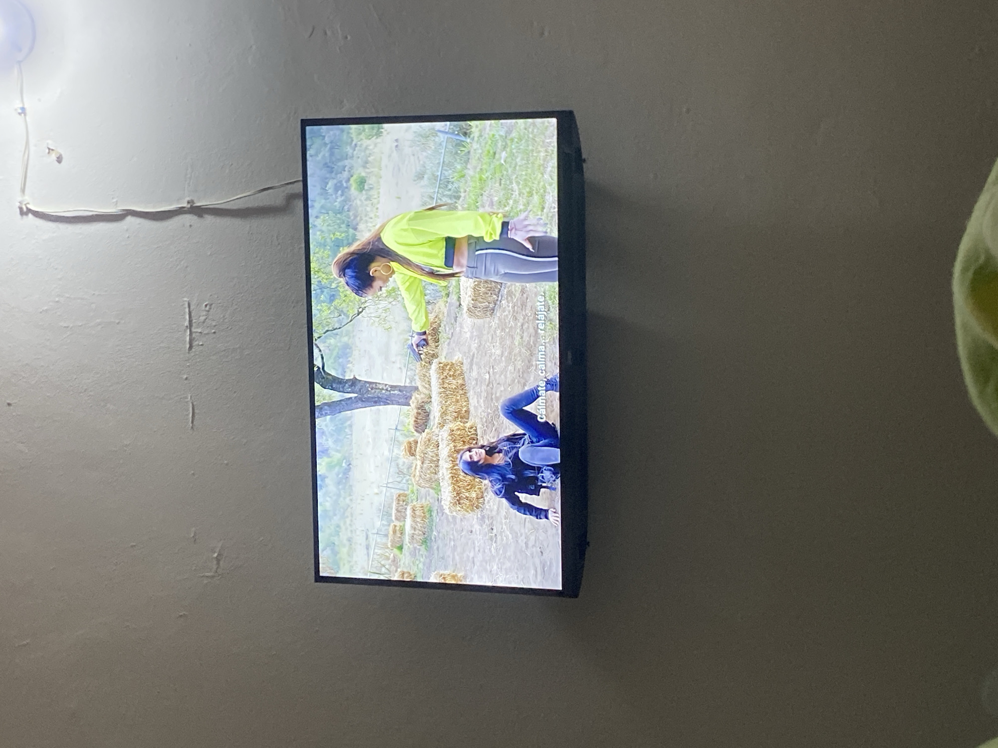 A television screen displays a scene with two women. The woman on the left is sitting on the ground with her legs extended, wearing a black leather jacket, dark jeans, and black boots. The woman on the right is standing and wearing a bright yellow cropped sweatshirt, grey pants with a white stripe, and has her hair in a ponytail. She is holding a dark object in her right hand and extending her left hand towards the seated woman. In the background, there are bales of hay arranged in a field with a tree and some vegetation. Subtitles in Spanish appear at the bottom of the screen, reading "Cálmate, calma... relájate."