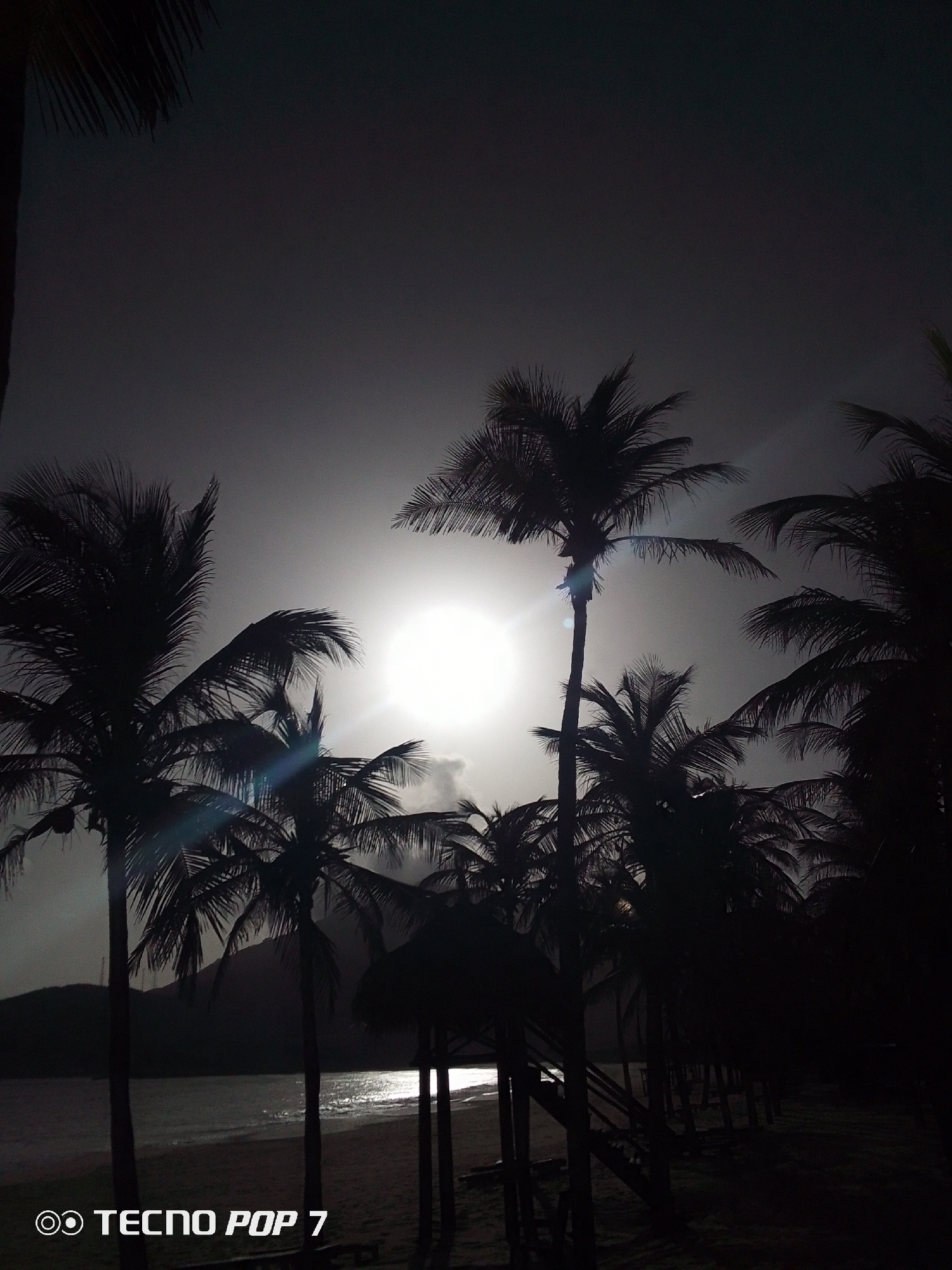 The image captures a beach scene in Pedro González, Venezuela, dominated by silhouettes of palm trees against a bright sun. The beach stretches into the distance with a gentle curve, the water reflecting the sunlight. A thatched-roof structure stands to the right, with steps leading up to it. The sky is overcast, obscuring details in the upper part of the picture. The “TECNO POP 7” branding is visible in the lower-left corner.