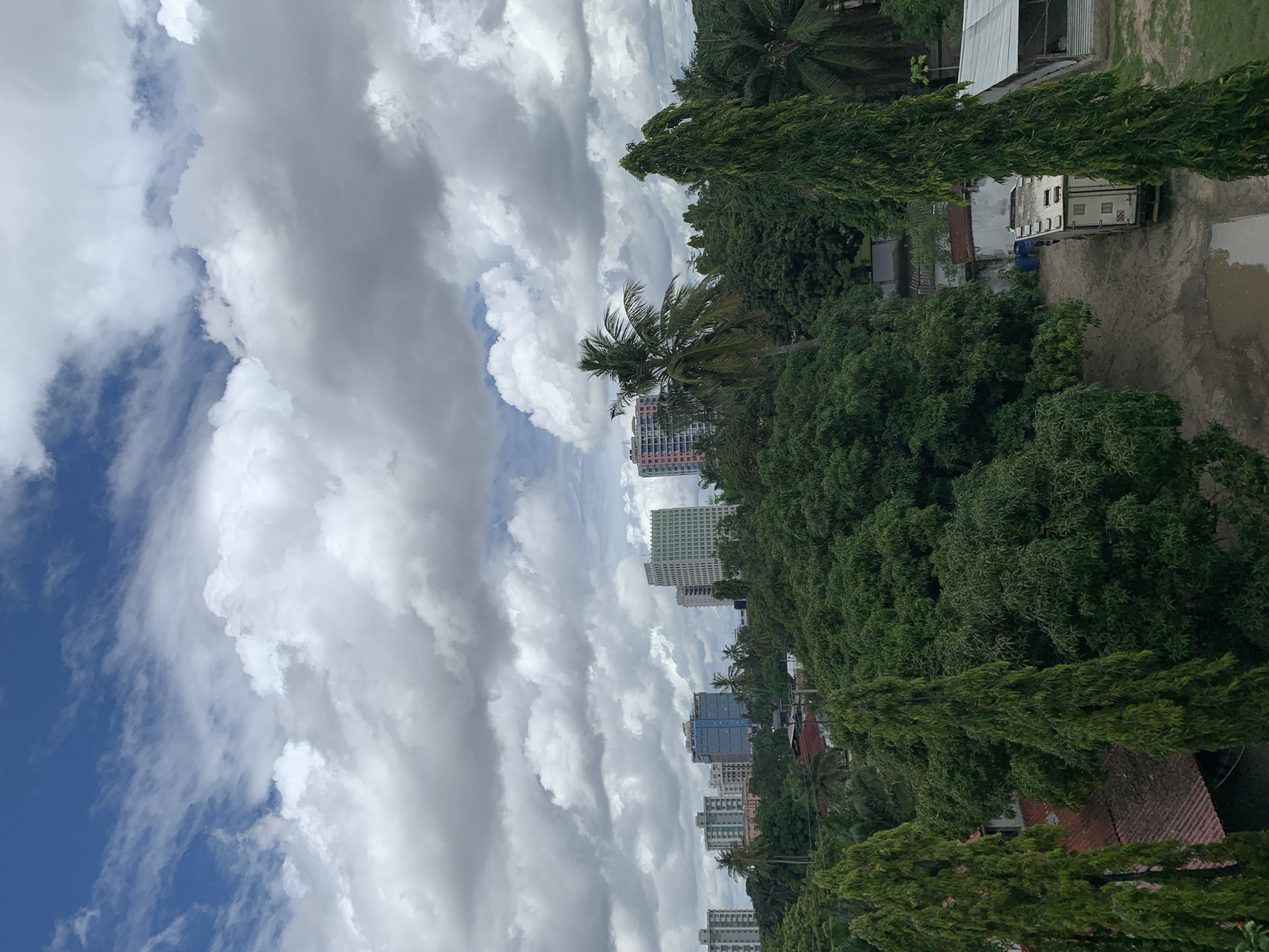 The image captures a cityscape scene in Dar es-Salaam, Tanzania, with a prominent sky filled with voluminous white clouds against patches of blue. A line of buildings, including high-rise structures with light-colored exteriors, is visible amidst dense green trees and vegetation. A few palm trees stand out among the foliage. In the upper right portion, a light-colored building is adjacent to a muddy or flooded area. Two tall, columnar trees frame the right edge of the image. The overall composition suggests an urban landscape blending with tropical greenery under a dynamic sky.