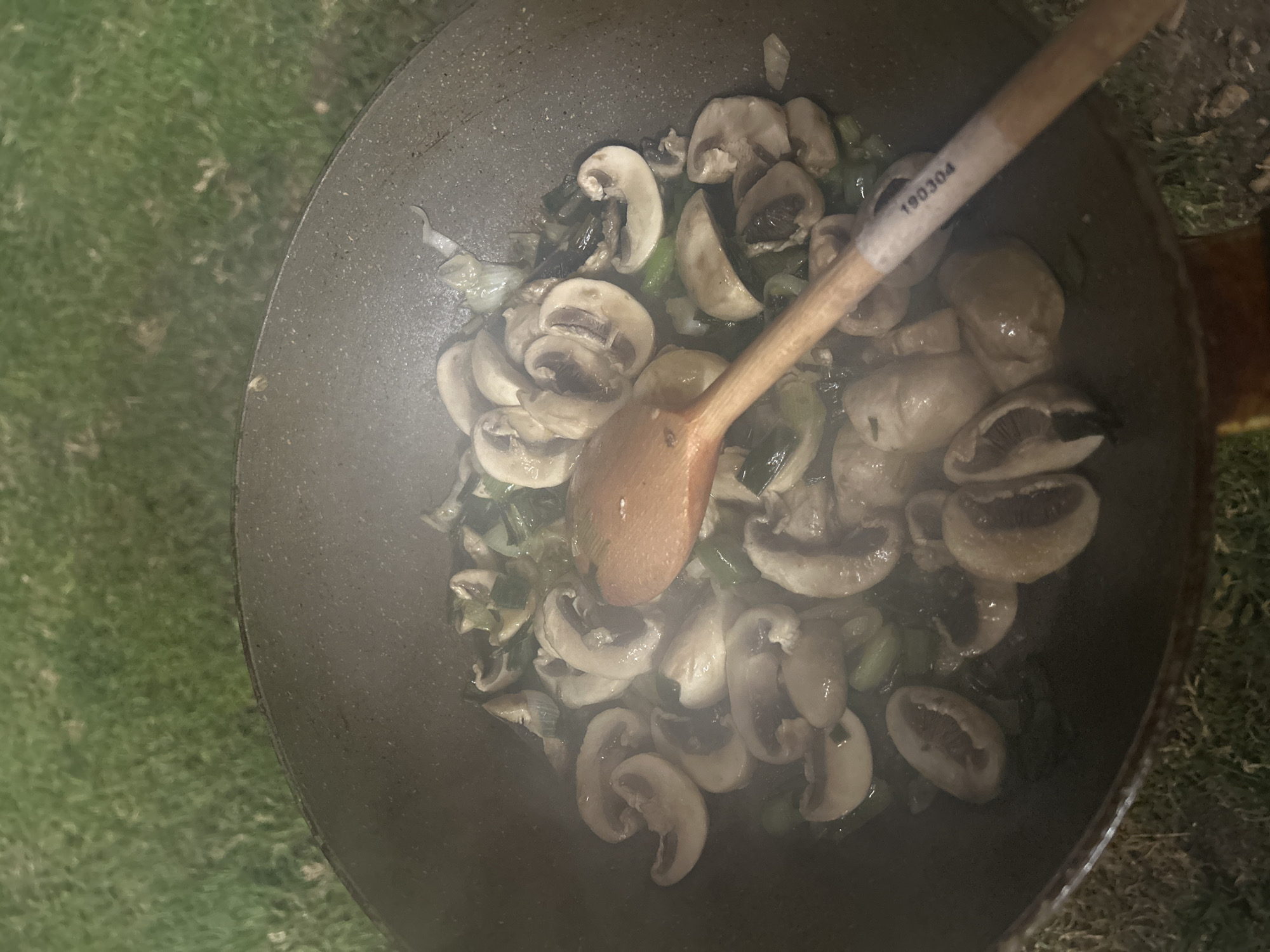 A top-down shot shows mushrooms and vegetables cooking in a dark-colored pan, with a wooden spoon resting inside. The pan appears to be sitting on grass. The label "190304" is visible on the handle of the wooden spoon. The location is Milkovitsa, Bulgaria.