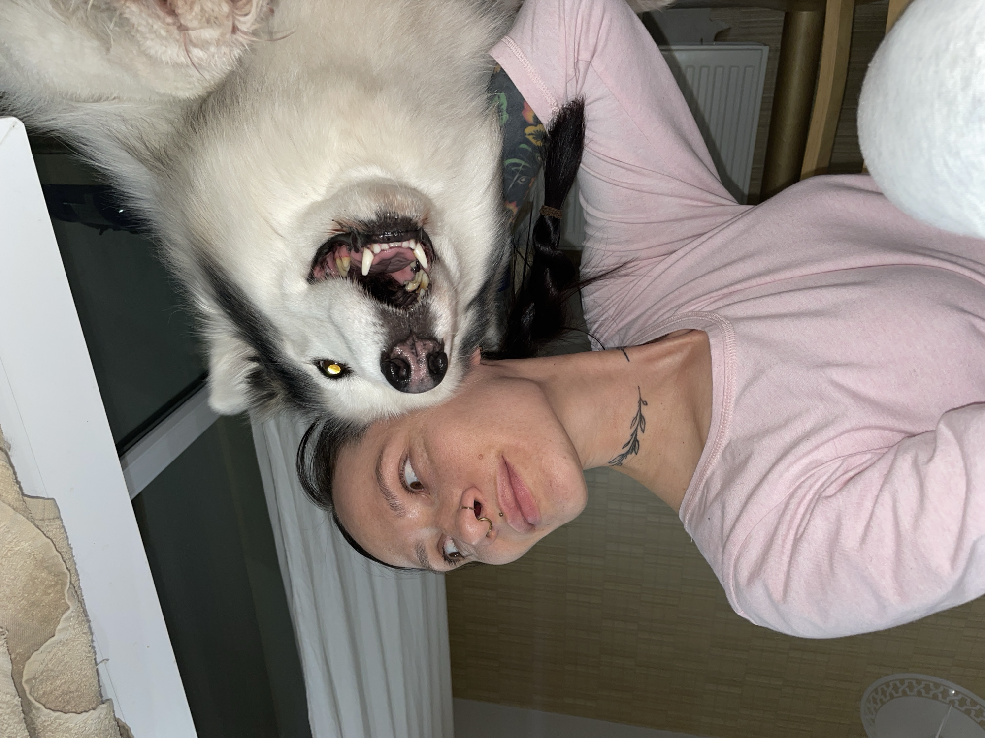 A person wearing a light pink long-sleeved shirt is holding a large white and gray husky dog upside down. The dog's teeth are visible. The person has facial piercings and a tattoo on their neck. There is a white curtain and window visible in the background, and what appears to be a radiator. There is no indication of a location in the city of Izhevsk, Russia.