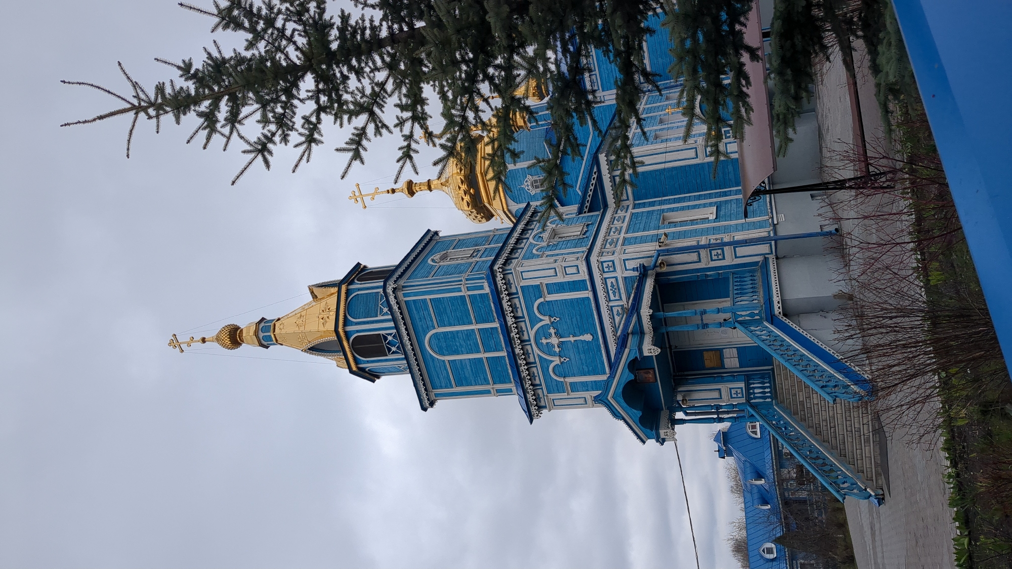 The image depicts a blue and white wooden church with golden domes, framed by a tree branch in the upper part of the frame. The church has ornate wooden detailing and multiple levels, with a staircase leading to the entrance. The sky is overcast. The church is located in the city of Ulyanovsk, Russia.