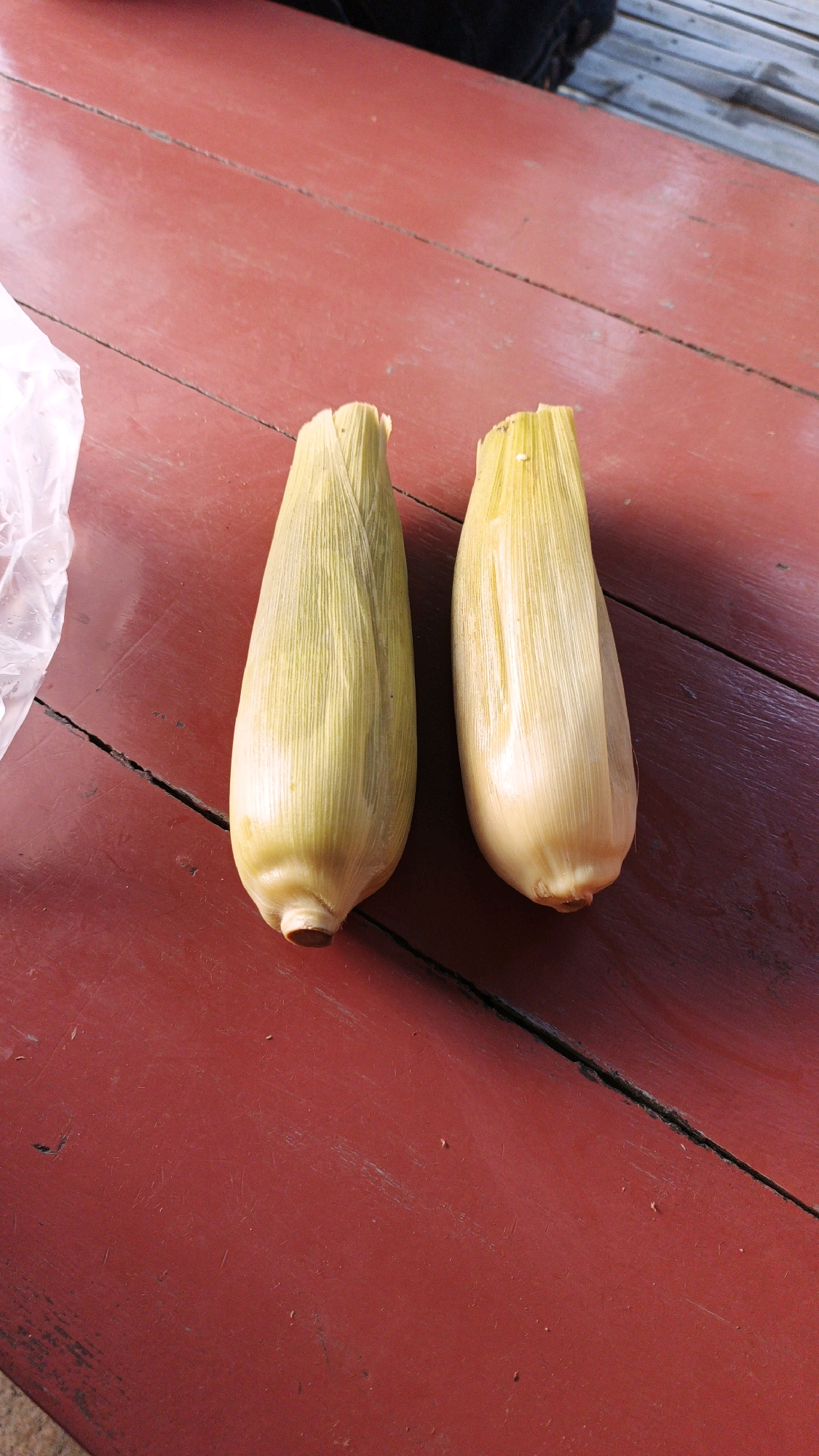 Two ears of corn, still in their husks, sit on a red wooden table. A plastic bag is partially visible on the left side of the image. The table appears to be outdoors, with a hint of bamboo in the background. The image does not provide any specific information about the location in Gesikan, Indonesia.
