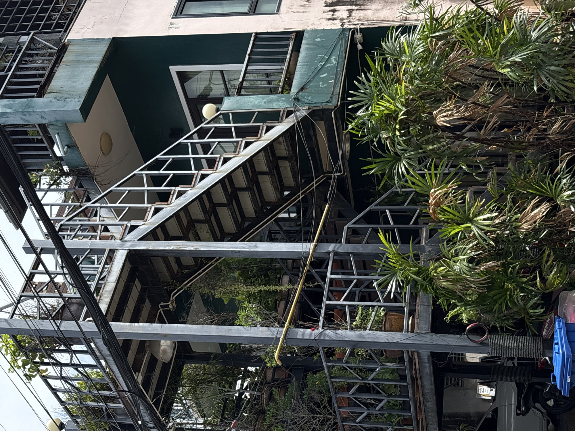 This is a medium-shot, eye-level, outdoor photograph taken in Choeng Thale, Thailand, depicting a multi-level building with an external metal staircase and dense greenery. The building's facade is partially painted a dark teal and a light pinkish-beige, with visible signs of weathering.
The foreground is dominated by lush, tropical vegetation, primarily palm-like plants with vibrant green fronds, some of which show signs of drying and browning. To the left of the vegetation, a blue plastic trash bin is visible, and behind it, parts of a white car and a motorcycle can be seen. The base of a support pillar for the external structure is also visible, wrapped in a coiled red rope and textured material.
The central focus of the image is the robust, grey metal external staircase, which ascends in sections and appears to be constructed from metal beams and grated flooring. The staircase is bordered by metal railings. Several levels of balconies or landings are integrated with the staircase, adorned with numerous potted plants, including some with trailing vines. Electrical wires and conduits are strung across the structure and the building.
The middle ground reveals the building's structure, with sections of dark teal painted walls and a balcony with a metal railing. A circular light fixture is mounted on the ceiling of a lower section. Further up, another balcony area is visible with a railing and more potted plants. Windows with dark frames are present on the building's facade. The building's upper levels have metal grates and railings.
The background consists of a slightly overcast sky. The overall scene suggests a residential or commercial building in a tropical urban environment, characterized by an emphasis on vertical space utilization with external access and extensive planting.