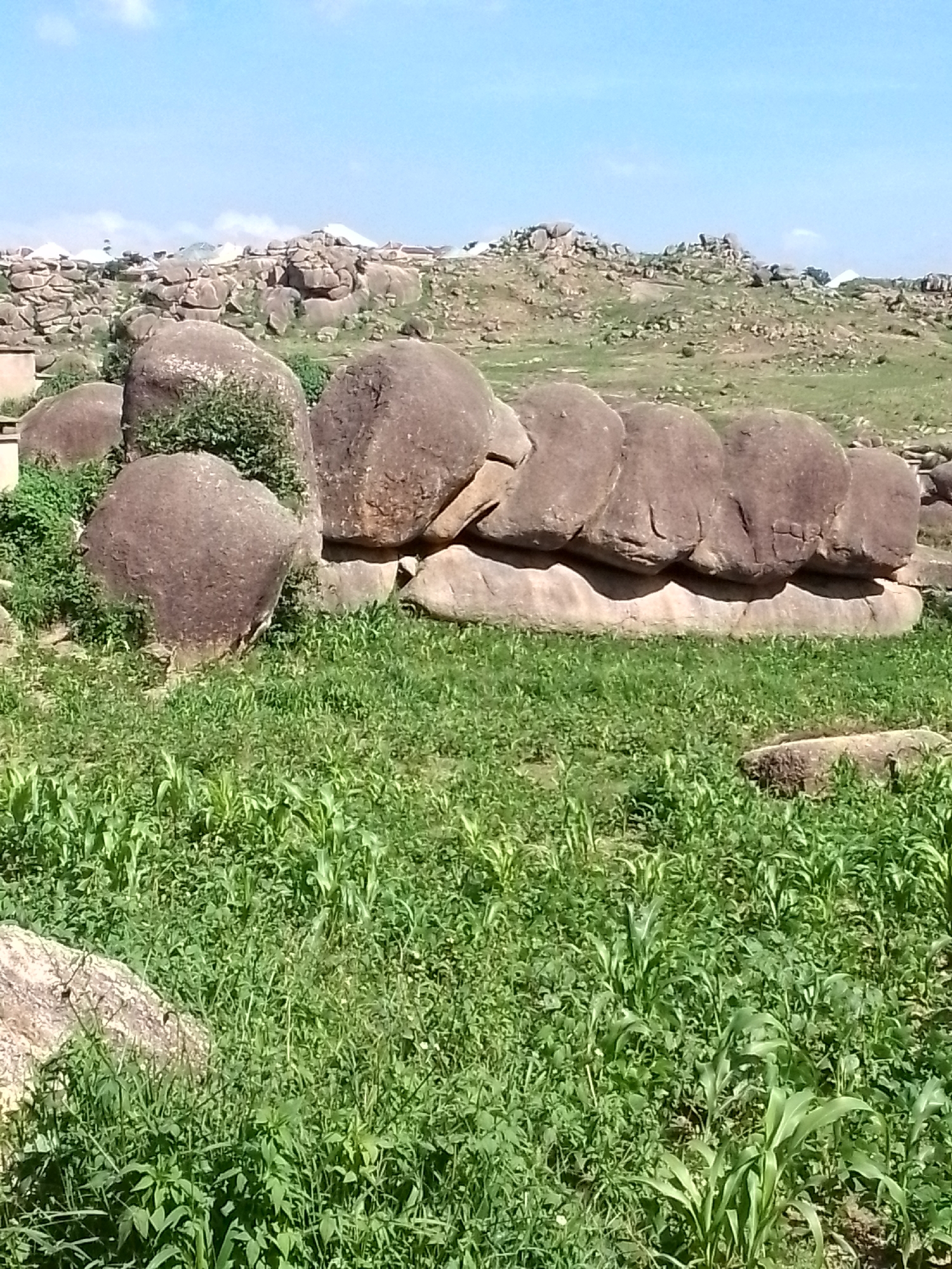 The image depicts a landscape with a clear blue sky and scattered white clouds. In the foreground, there is lush green vegetation, including tall grass and some corn stalks, with a large boulder visible on the left side. Behind the vegetation, a row of large, smooth, rounded boulders is arranged horizontally. Further in the background, the terrain rises into a rocky hillside dotted with more boulders and sparse vegetation. Some structures, possibly buildings, are faintly visible on the distant hills. The scene suggests a natural, possibly rural or undeveloped area.