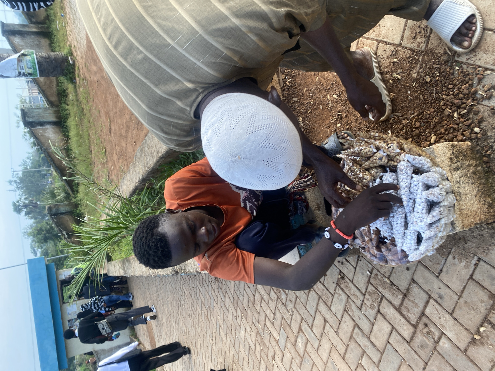 In Rafin Par, Nigeria, a young man wearing an orange shirt and dark pants crouches next to a display of what appears to be dried goods, possibly nuts or corn, wrapped in netting. He is sorting through the items with his hands. To his right, another person, wearing a tan robe and a white kufi cap, bends over, also interacting with the goods. In the background, several other individuals walk along a paved path. The environment includes a blue-fronted building, a stone wall, and lush green vegetation, indicating an outdoor setting within the city. The ground is a mix of pavement and dirt with small stones.
