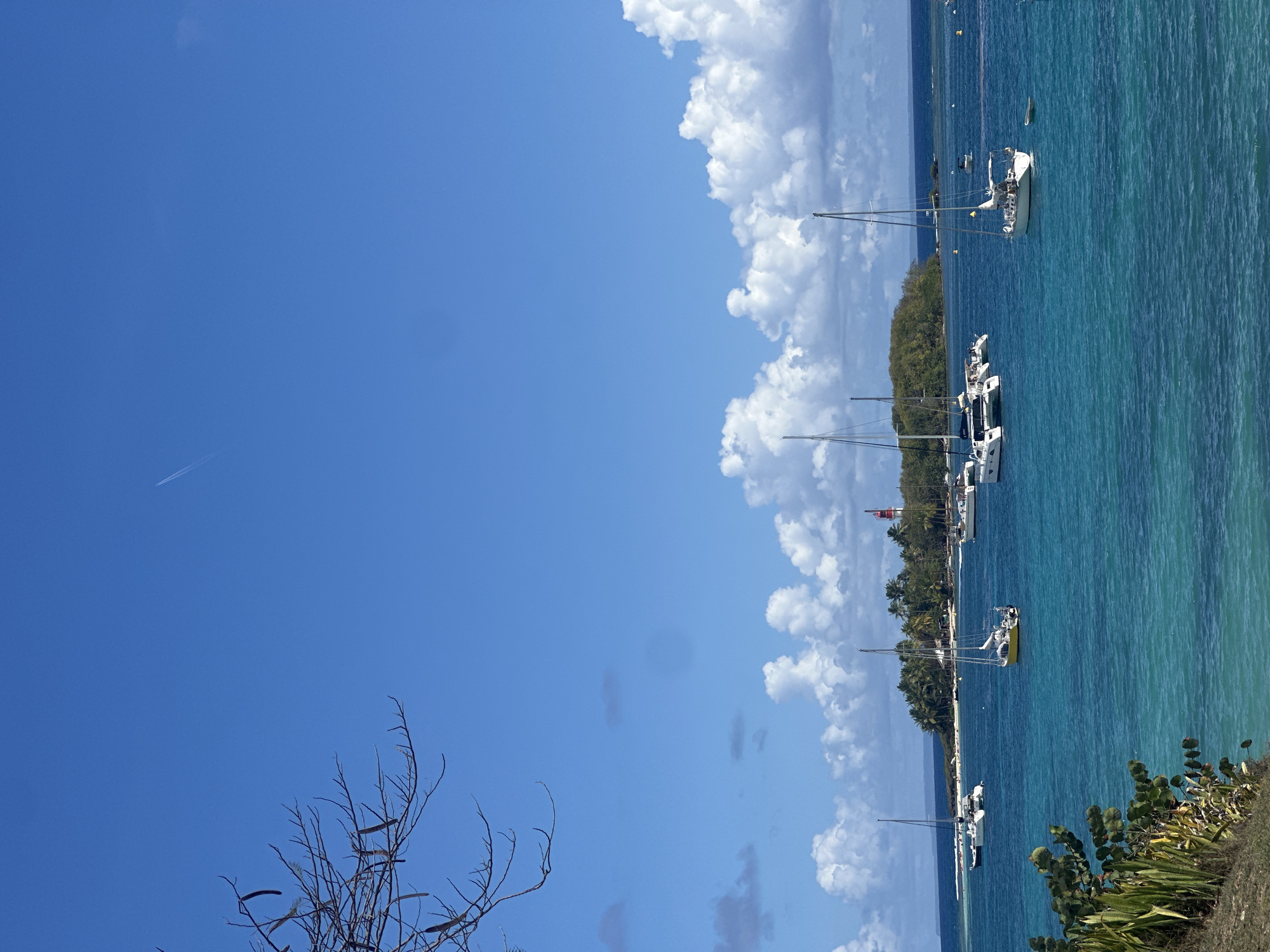 The image depicts a serene coastal scene in Le Gosier, France. Clear turquoise waters fill the right half of the frame, dotted with several anchored sailboats, their masts reaching towards the sky. A lush, narrow strip of land with palm trees and other greenery runs along the water's edge, separating the sea from a backdrop of white, puffy clouds that stretch into a bright blue sky. The left half of the image is dominated by the clear blue sky with a faint contrail. In the foreground, the corner is marked by sparse, thin branches on the left, and green foliage on the right, adding depth to the view.