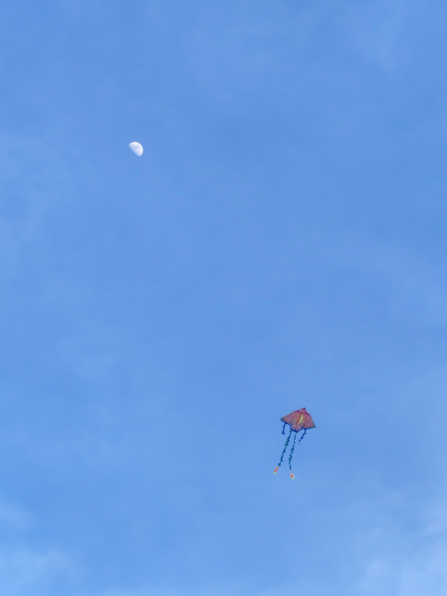 An outdoor, eye-level, vertical, medium shot captures a clear blue sky with a crescent moon in the upper left quadrant and a kite in the lower right quadrant. The moon is illuminated on its right side and appears as a sliver in the sky. The kite is red, yellow, and blue, with blue streamers attached. The kite is positioned on the right side of the frame, and the moon is on the left, leaving a large expanse of sky between them. The sky is mostly clear, with only a few wisps of white clouds visible at the very bottom of the frame. The scene depicts a serene, daytime sky with celestial bodies and a recreational object.