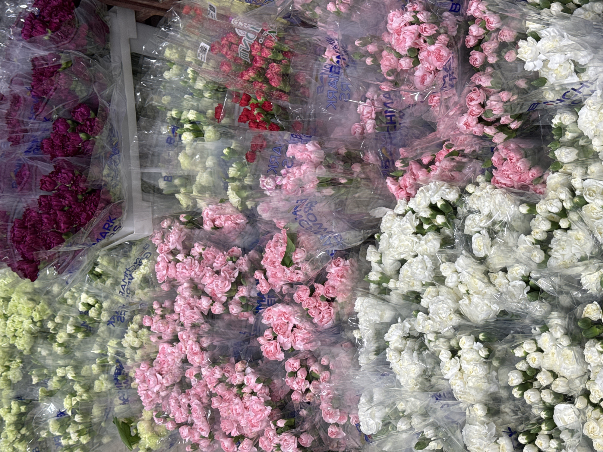 The image shows multiple bunches of flowers wrapped in clear plastic, likely for sale. The flowers are arranged in rows and include colors such as white, pink, red, purple, and light green. The flowers appear to be carnations.
The specific location in Izhevsk, Russia, cannot be determined from the image. No people or actions are visible. The environment seems to be a floral shop or a storage area for flowers.