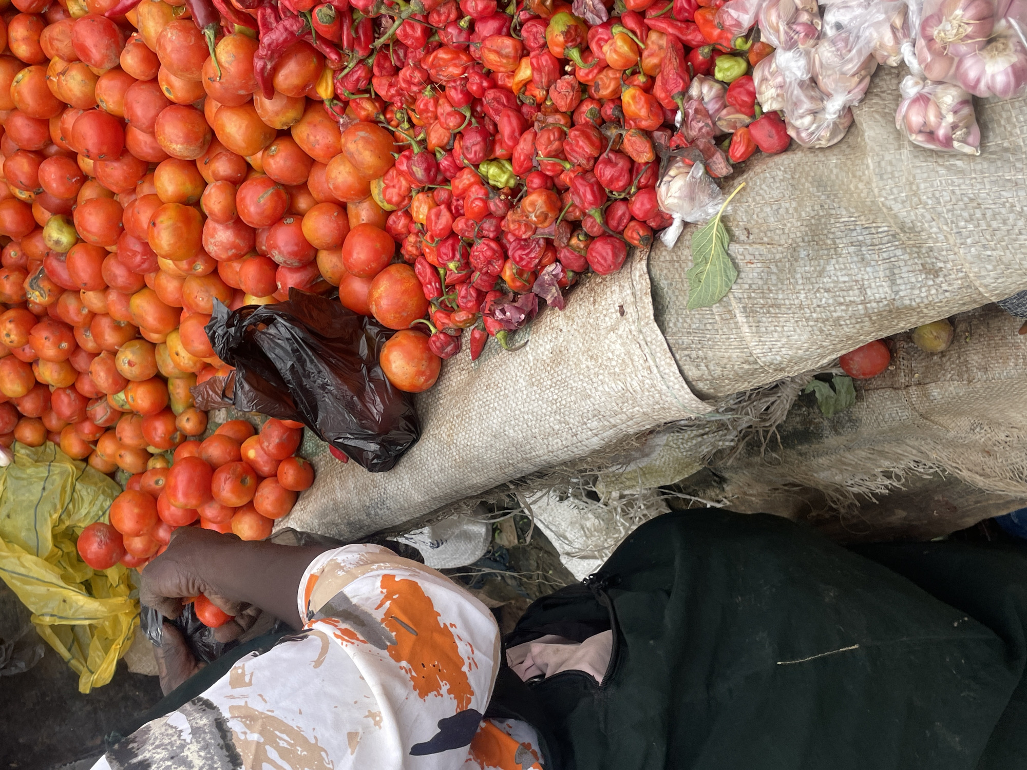This image presents an overhead, close-up perspective of a market stall in the city of Jos, Nigeria. A dark-skinned individual, visible from the upper back and right arm, occupies the left side of the frame. They are wearing a white garment with abstract orange and black patterns and a dark, possibly black or dark green, lower garment. Their hands are actively engaged with a black plastic bag, from which they are either selecting or placing small, red tomatoes.
The market stall displays a significant quantity of produce, primarily arranged on woven hessian sacks. The central and upper-right portions of the image are dominated by a large, heaped pile of red and orange tomatoes, varying in size and ripeness. To the right of the tomatoes, a substantial mound of red chili peppers, including crinkled, rounded varieties suggestive of Habanero or Scotch bonnet, and elongated red peppers, is visible. Scattered amongst the peppers are a few green specimens. Towards the lower right, multiple small, clear plastic bags contain bundles of garlic or shallots. A single green leaf rests on the hessian material near the peppers and bagged alliums. A yellow plastic bag is partially visible in the upper left background, behind the individual's arm and near additional tomatoes. The general setting suggests an active outdoor market environment.