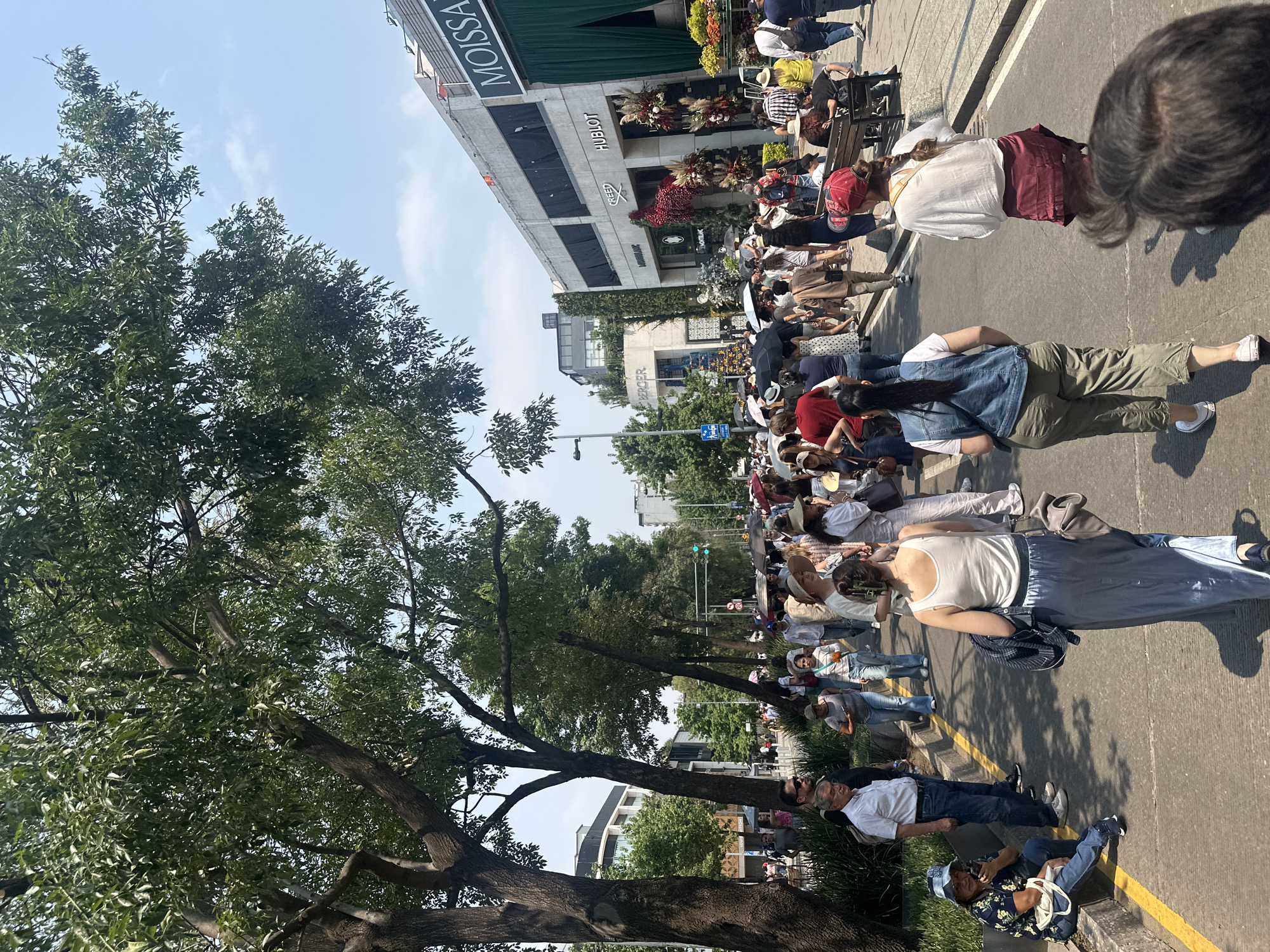 A large group of people is gathered in a public space in Mexico City, Mexico, specifically on Avenida Presidente Masaryk in the upscale Polanco neighborhood. They appear to be lying down on the pavement of the avenue, possibly as part of a protest or performance. The photograph shows a street lined with trees on one side and retail establishments on the other. The building's facades display brands like MOISSAN, HUBLOT, CREED, and MONTBLANC. Overhead traffic lights are visible in the distance. The sky is clear with a few wisps of clouds.