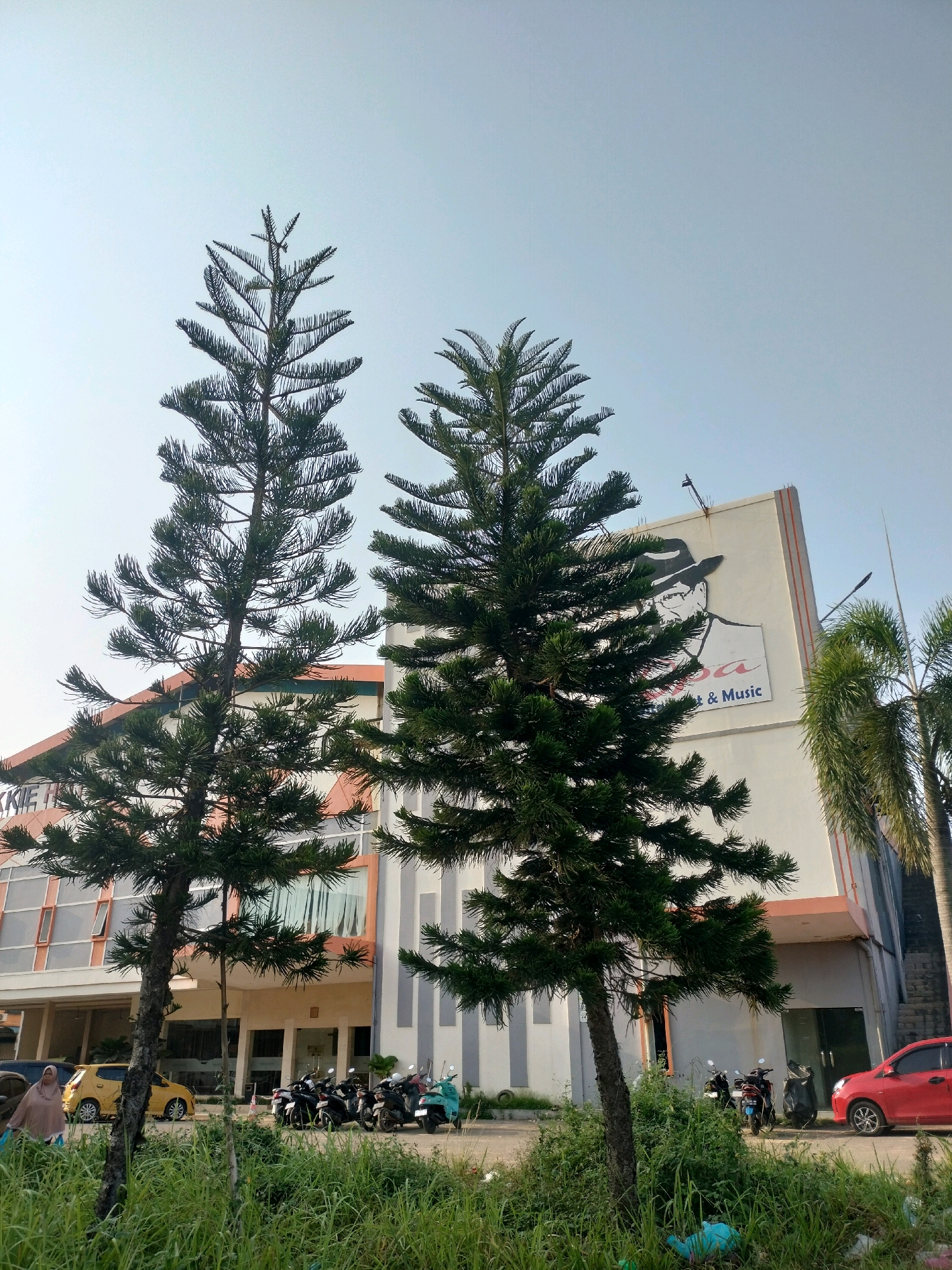 This is an exterior, ground-level, medium-shot photograph taken outdoors in Batam, Indonesia. The scene depicts a modern building with a light-colored facade, accented with orange and gray vertical stripes. A large, stylized black and white illustration of a person wearing a hat is painted on the upper right side of the building, accompanied by the text "BAISA" and "art & Music".
Two tall pine trees with dark green foliage dominate the foreground, partially obscuring the building. To the left of the building, a woman wearing a light-colored hijab walks past a yellow car. In front of the building's entrance, a row of parked motorcycles, including a blue scooter, is visible. A red car is parked on the right side of the image. Lush green grass and some debris are scattered on the ground in the foreground. The sky is a clear, pale blue, indicating daytime. The scene suggests a commercial or entertainment establishment in a moderately urban environment.