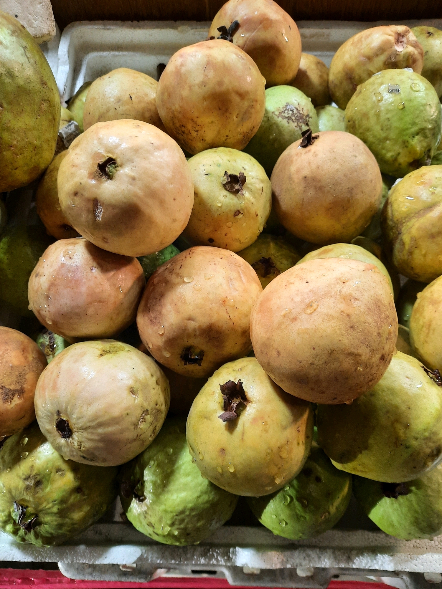 A close-up, overhead shot shows a pile of guavas in what appears to be a market stall in East Jakarta, Indonesia. The guavas are of varying colors, with some being a light yellow-green and others a pale pinkish-yellow. They are arranged in a haphazard stack, with some fruits partially obscuring others. Water droplets are visible on the skin of many of the guavas, suggesting they may have been recently washed or misted. The background is indistinct, but hints of a styrofoam container and possibly wooden crates suggest a retail or display setting. The lighting is somewhat dim, casting soft shadows on the fruits.