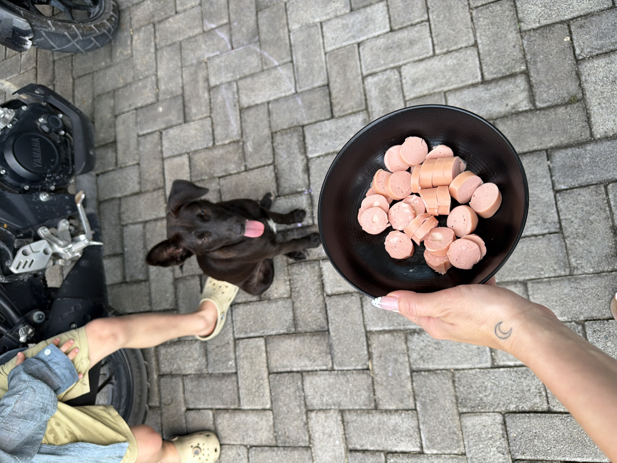 Captured from a first-person perspective, the image portrays an outdoor scene in Kuta Selatan, Indonesia, on a day with ample sunlight. The ground is paved with grey rectangular stones. A black motorcycle is partially visible on the left side. A person's legs, clad in khaki shorts and beige Crocs, are positioned next to the motorcycle. A medium-sized black dog, with its tongue sticking out, sits on the pavement, looking up. A hand holding a black bowl full of sliced sausages is prominently featured in the right half of the image. The wrist of the hand bears a small tattoo of a crescent moon.