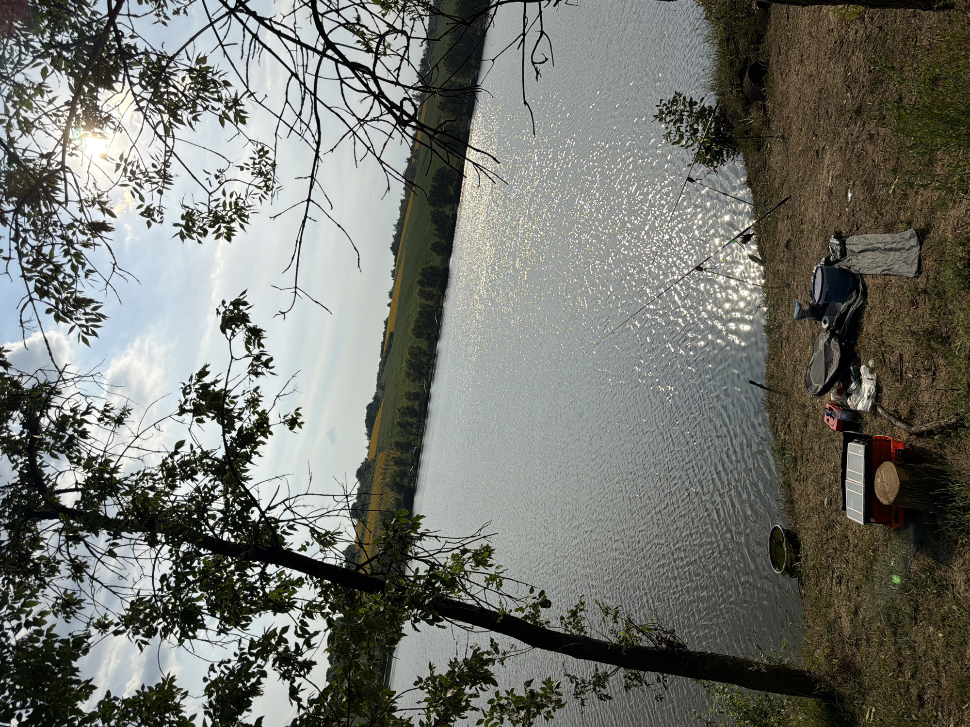 The image depicts a serene outdoor scene by a lake, likely in Găleștii Noi, Moldova, on a sunny day. The foreground features a grassy bank with various items arranged for what appears to be a fishing trip. There are two fishing rods set up, a blue bucket, a gray bag, a red cooler with a solar panel on top, a small wooden stump, and some discarded plastic packaging. A large body of water, likely the lake, occupies the middle ground, with the sunlight glinting off its surface, creating a sparkling effect. In the background, a gentle slope covered in lush green fields and rows of trees leads up to a bright blue sky with scattered white clouds. The scene is framed by the branches and leaves of trees on the left and right sides, adding depth and a natural feel to the composition. No people are visible in the image.