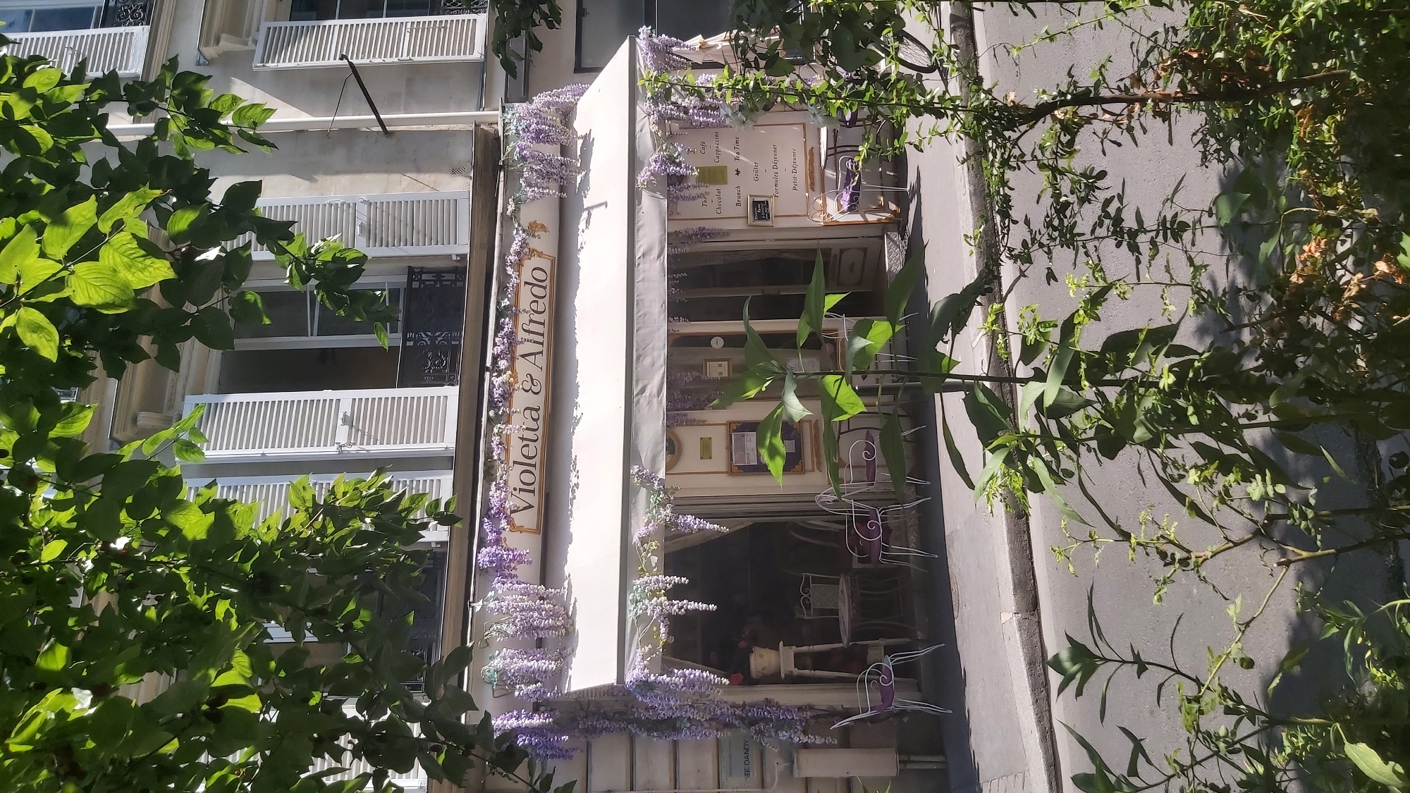 The image shows a charming Parisian cafe named "Violetta & Alfredo," adorned with abundant purple wisteria flowers cascading from its awning and facade. The cafe is situated on a street, with tables and chairs set up outside for patrons. The building features classic Parisian architecture with shutters on the windows. The scene is bathed in sunlight, casting shadows from the surrounding trees onto the pavement and street. The foreground is filled with lush green foliage, partially obscuring the view of the cafe and creating a natural frame. The overall impression is one of a tranquil and inviting spot in the heart of Paris.