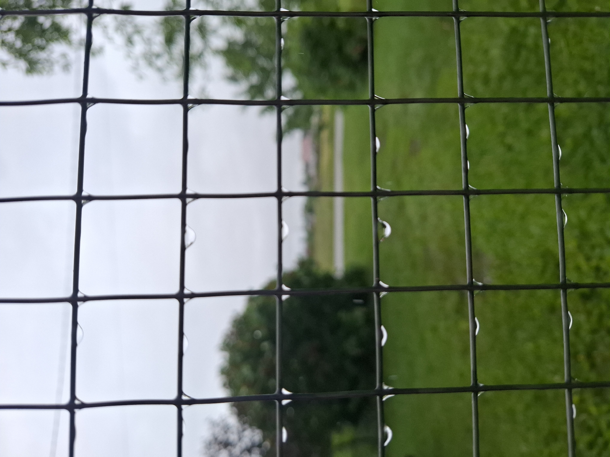 The image presents a close-up view through a wire mesh fence, covered with droplets of water. The background is blurred and shows a lawn area to the right and an indistinct area with a blurry tree and what appears to be a building in the distance to the left. The sky visible through the mesh appears overcast. The fence structure is the primary subject of the image, with the water droplets accentuating the grid pattern. The location is unspecified in the provided image. Therefore, determining whether the image was taken in Khlevnoye, Russia is impossible.