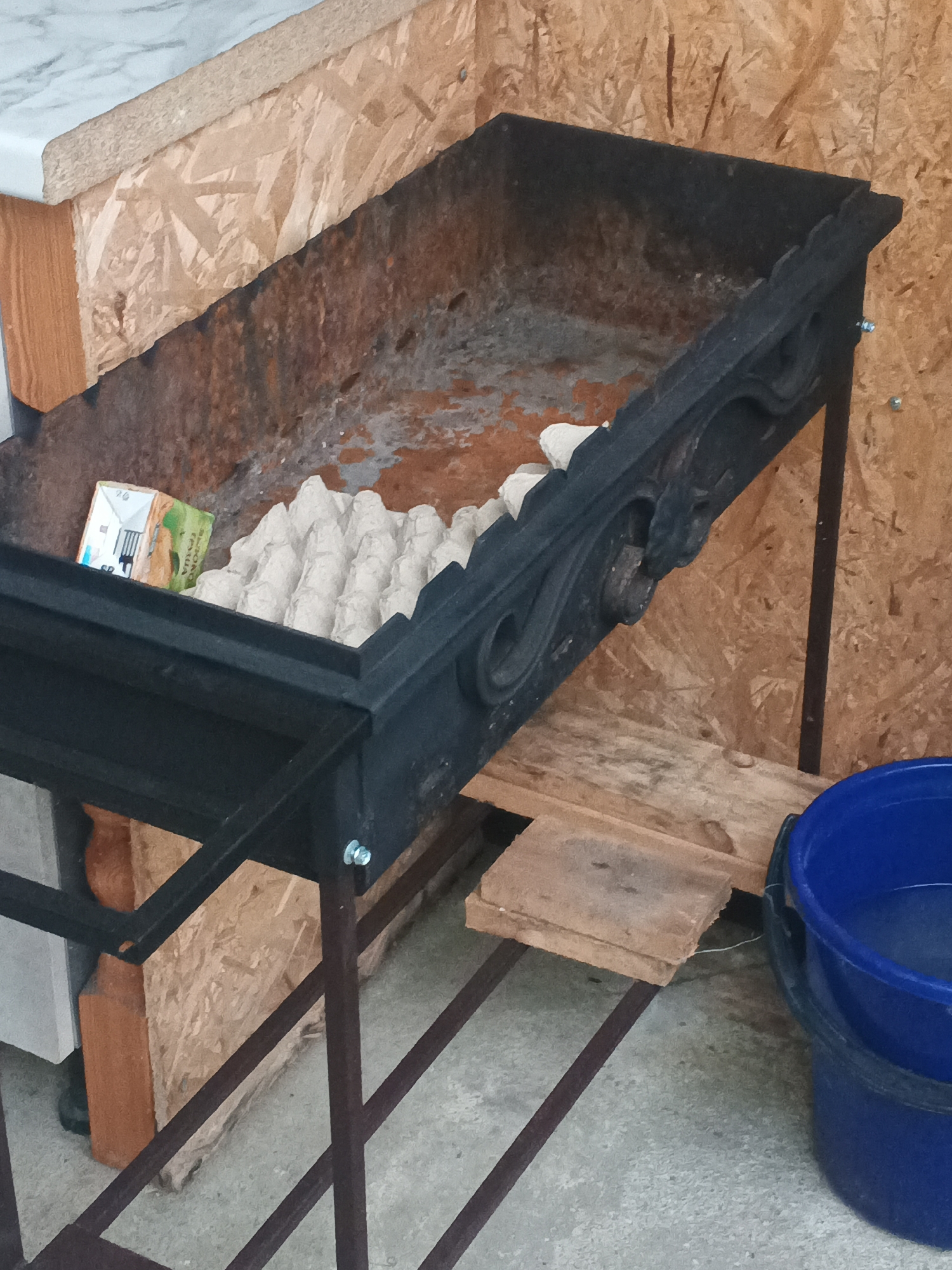 The image depicts an outdoor scene, likely a backyard or patio area, in Sokhumi, Abkhazia. In the center of the frame is a black metal brazier, which appears to be old and weathered. Inside the brazier, there is a carton of milk and a cardboard egg carton containing several eggs. The brazier rests on two metal legs, and a wooden plank is positioned beneath it. To the right of the brazier, a blue bucket filled with water is visible. The background consists of a wall made of oriented strand board (OSB). The ground is a concrete surface.