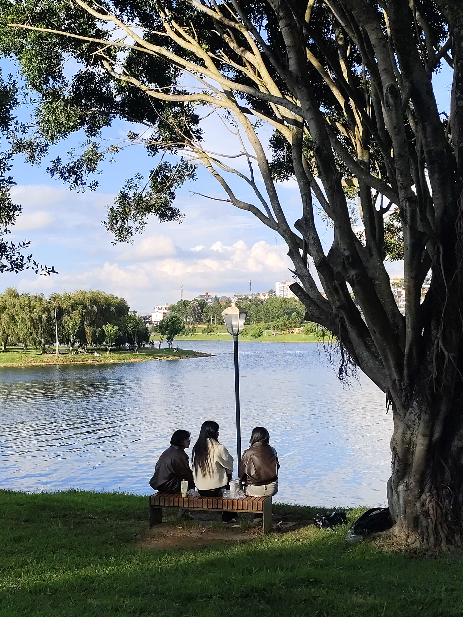 Three individuals are seated on a wooden bench by the edge of a lake in Xuân Hương Lake, Đà Lạt, Vietnam. The individual on the left is wearing a dark brown jacket, the middle individual wears a light-colored jacket, and the individual on the right wears a brown leather jacket. They are all facing away from the camera, looking out at the water. There are plastic cups and containers on the bench in front of them. To the right of the bench, near the base of a large tree, are two black backpacks. The lake is calm and reflects the blue sky, which is dotted with white clouds. In the background, across the lake, is a park-like area with trees and some buildings. The foreground is a grassy area with dappled sunlight. A lamppost is positioned behind the bench, between the individuals and the lake. The large tree on the right dominates the foreground with its thick, gnarled trunk and branches that extend into the upper portion of the frame.