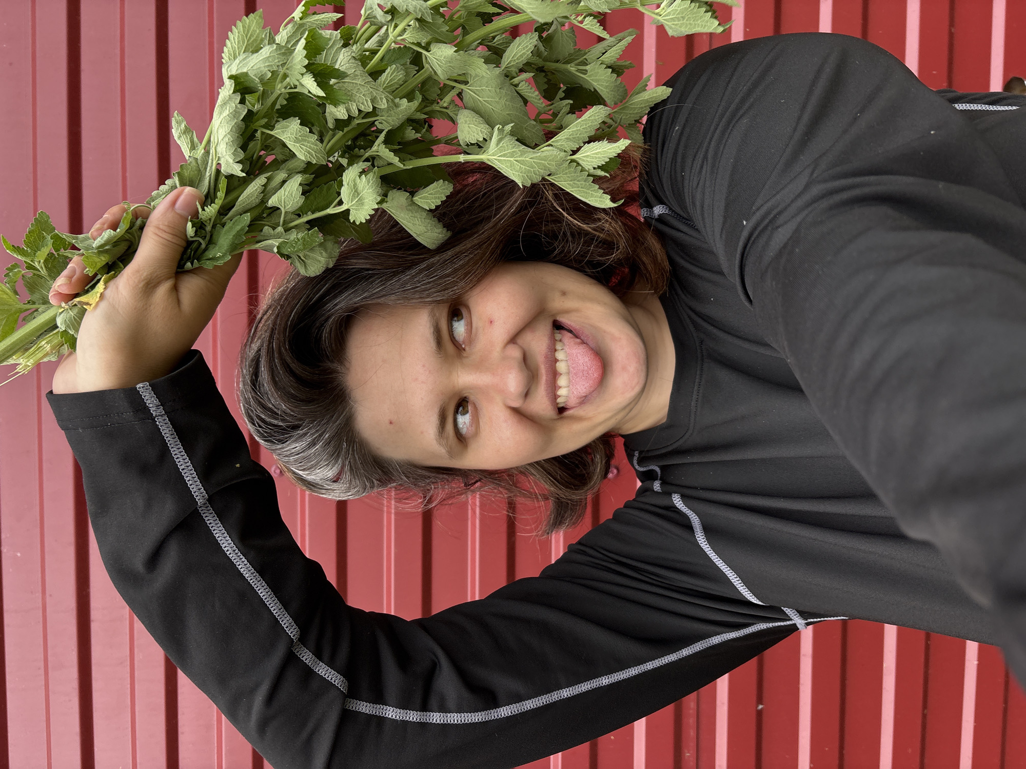 A person with dark brown and gray hair is holding a bunch of green leafy plants over their head with their right arm raised. The person is wearing a black long-sleeved shirt with grey stitching. Their head is turned to the right, and their tongue is sticking out, with their eyes looking to the right. The background is a red corrugated metal wall. The image appears to be taken outdoors.