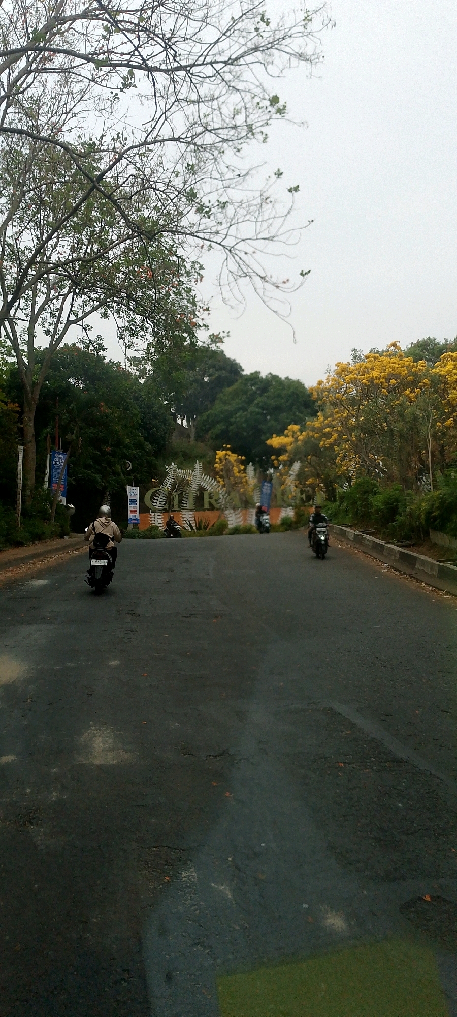 The image captures a scene on a road in Bandung City, Indonesia, with a backdrop of lush greenery and trees, some adorned with vibrant yellow flowers. In the foreground, a dark asphalt road is visible with some patches and debris scattered on its surface, suggesting it might be a bit worn or damp.
Several individuals on motorcycles are navigating the road. Closest to the viewer, a person rides a scooter, facing away, wearing a light-colored jacket and a helmet. Further down the road, two more motorcycles are present, one with a rider in a dark outfit and the other with a rider in a light-colored shirt.
In the background, a large decorative entrance or signage with ornate lettering and fern-like motifs stands out. The letters appear to spell out "CITR" or a similar combination. Two tall banners or posters are also visible on the left side of the entrance, with some text that is too blurry to read.
The environment suggests a somewhat overcast day, with a bright, diffused sky. The trees on either side of the road are a mix of leafy green and bare branches, with the striking yellow flowers providing a burst of color. The overall impression is of a road leading into or within a park-like area or a well-maintained complex in Bandung City.