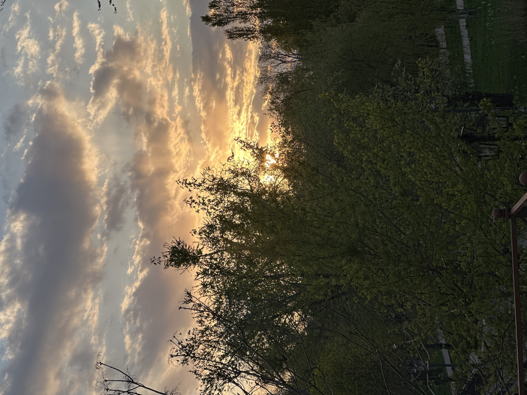 A serene landscape photograph captures the warm glow of either sunrise or sunset over a tree-lined area in Kryvyi Rih, Ukraine. The sun, a bright burst of light, is positioned centrally behind a dense canopy of trees, casting a golden-orange hue across the sky. Numerous clouds, ranging from wispy streaks to larger formations, are illuminated by this warm light, creating a dramatic and picturesque backdrop.
The upper portion of the image is dominated by the sky, transitioning from bright gold and orange near the sun to softer blues and grays further away. Below the sky, a prominent line of trees fills the mid-ground and foreground. Their branches and leaves, many appearing as silhouettes against the bright light, show varied shades of green, indicating fresh spring or summer foliage.
To the far right of the image, a dark, vertical structure, possibly a railing or part of an unseen building, is partially visible. In the lower, darker sections beneath the trees, hints of what appears to be a pathway or a calm body of water with a distinct bank can be discerned, suggesting a park or a natural riverside setting. The overall mood of the image is peaceful and contemplative. There are no people visible, nor is there any discernible text. The time of day is clearly the golden hour, marked by the distinctive warm light.