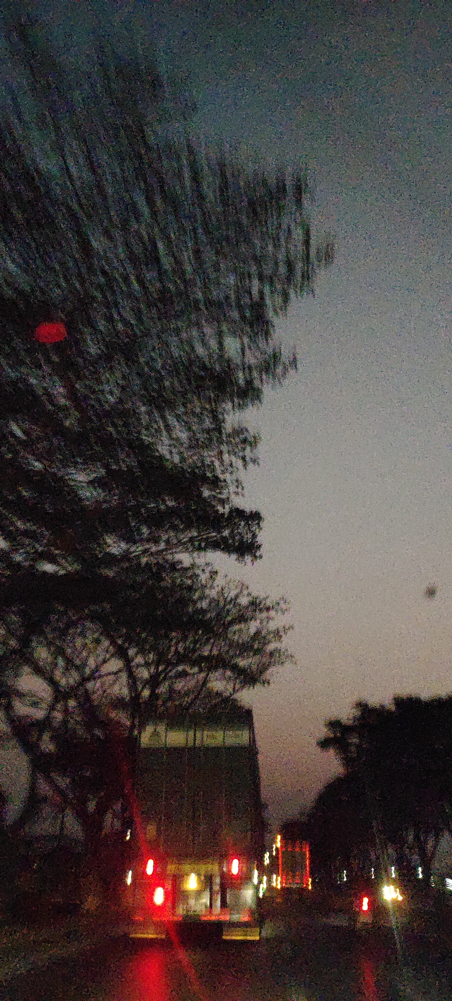 The image depicts a blurred, low-light scene, likely taken from a moving vehicle at dusk or dawn. In the foreground, silhouetted trees with dense foliage dominate the left side of the frame, with a single red circular object visible within the branches on the upper left. A large, boxy vehicle, possibly a truck or bus, is centrally located, its rear lights glowing red. Other vehicles with illuminated headlights and taillights are visible further down a road that stretches into the distance. The sky is a muted, hazy gray, with a faint impression of a distant object in the upper right quadrant. The overall impression is one of motion and limited visibility, characteristic of nighttime or twilight travel. The context of Cangkring, Rembang, Indonesia, suggests a rural or semi-urban road setting.