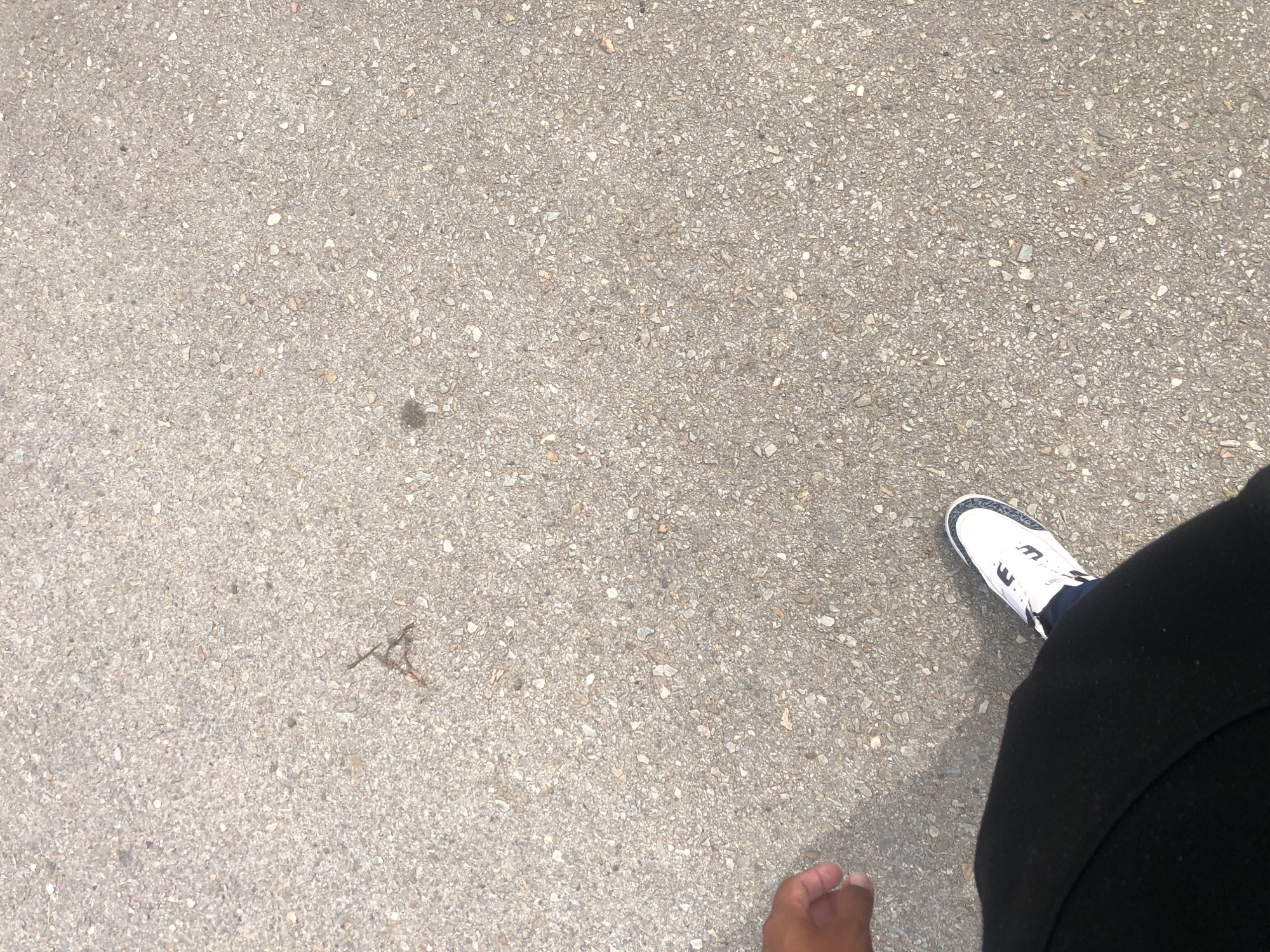 The image shows a section of concrete pavement, speckled with small stones, likely an outdoor walkway or street surface. To the right, the lower leg of a person is visible, clad in black fabric. The toe of a foot without a shoe is visible at the bottom. A white sneaker with a blue and gray patterned tongue is partially visible. Debris, possibly a small twig, is present on the pavement. The location in Altagracia, Venezuela cannot be confirmed based on visual information alone.