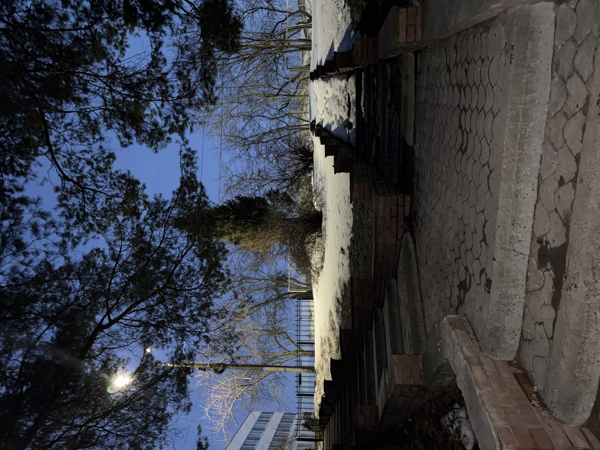 The image depicts a brick and concrete staircase alongside a sidewalk with a patterned surface, potentially in a park or residential area of Chaikovsky, Russia. Snow is present on the side of the staircase, partially obscuring the brickwork. A streetlight illuminates the scene from the left, shining through the branches of trees overhead. A building with a grid-like facade is visible in the distance. The sky is a deep blue, indicating it is either dusk or dawn.