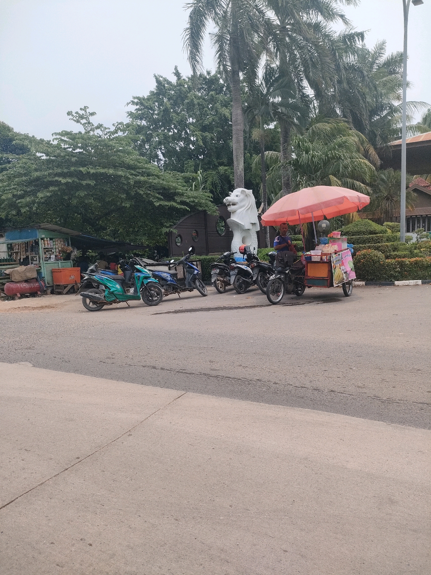 This image captures a street scene in Batam, Indonesia, specifically near the Merlion Park, a popular tourist attraction. The foreground shows a cracked asphalt road with a lighter colored concrete path running alongside.
In the mid-ground, a street vendor operates a cart selling what appears to be ice cream or frozen treats. The cart is adorned with colorful advertisements. An adult male, likely the vendor, stands behind the cart under a large, orange umbrella. Several motorcycles are parked in a line behind the vendor's cart and next to a small, open-air shop or stall. This stall has shelves stocked with various items, and an orange cooler is visible.
In the background, a prominent white statue of a Merlion, the iconic symbol of Singapore and also found in Batam, stands tall. Behind the statue and the vendor, lush green trees and palm trees create a tropical ambiance. The sky is overcast, suggesting a cloudy or possibly rainy day. The overall scene depicts a typical street-side commercial activity in a public area of Batam.
