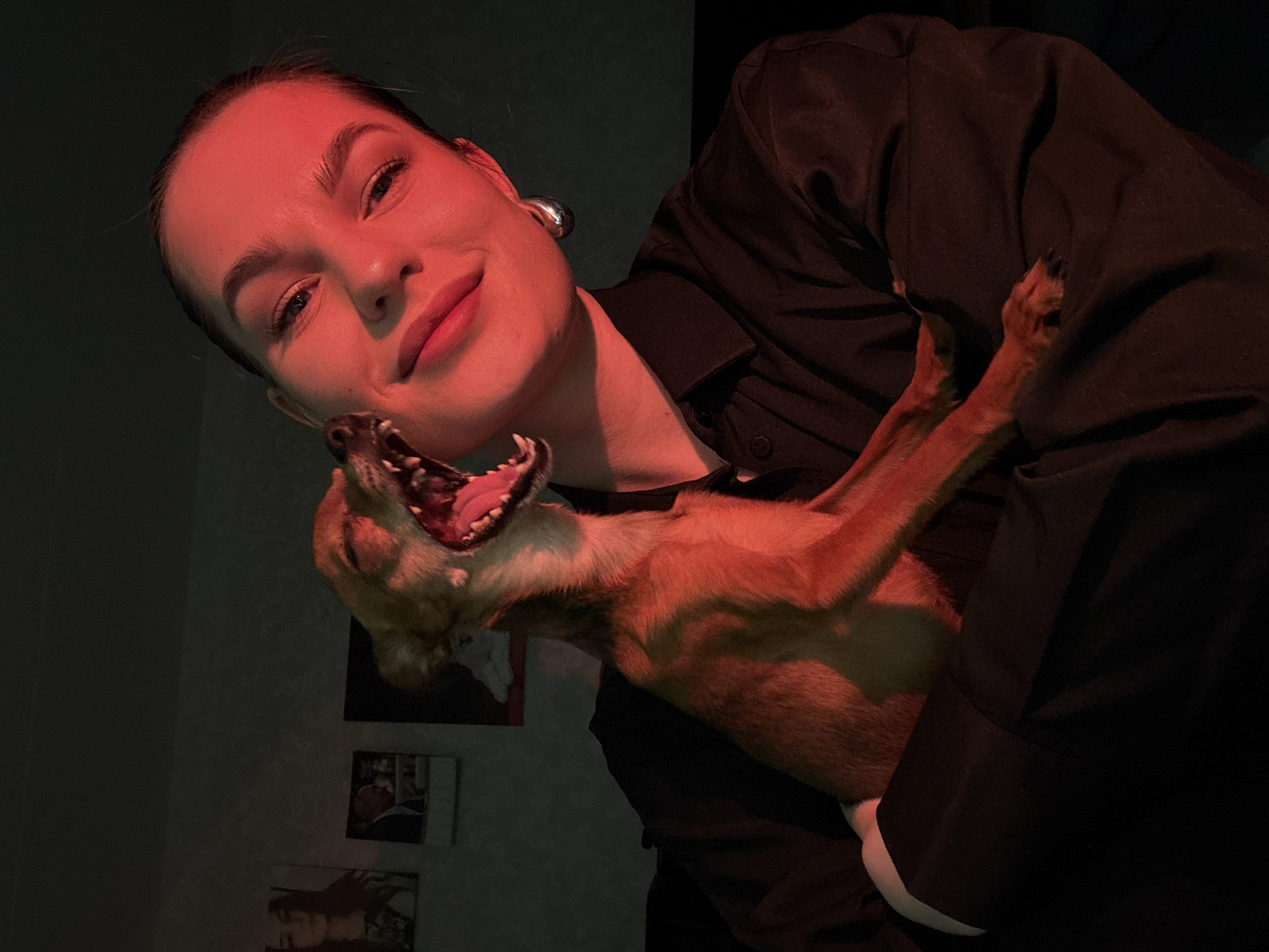 A young woman with dark hair pulled back is holding a small brown dog. The dog is mid-yawn, with its mouth wide open and teeth bared. The woman is smiling slightly and looking towards the camera. She is wearing a black collared shirt and a large silver hoop earring in her right ear. The scene is illuminated by red lighting, casting a reddish hue over the subjects and the background. In the background, there are framed pictures on the wall. The image appears to be a selfie taken indoors. There are no identifying features that place the location specifically in Chaikovsky, Russia.