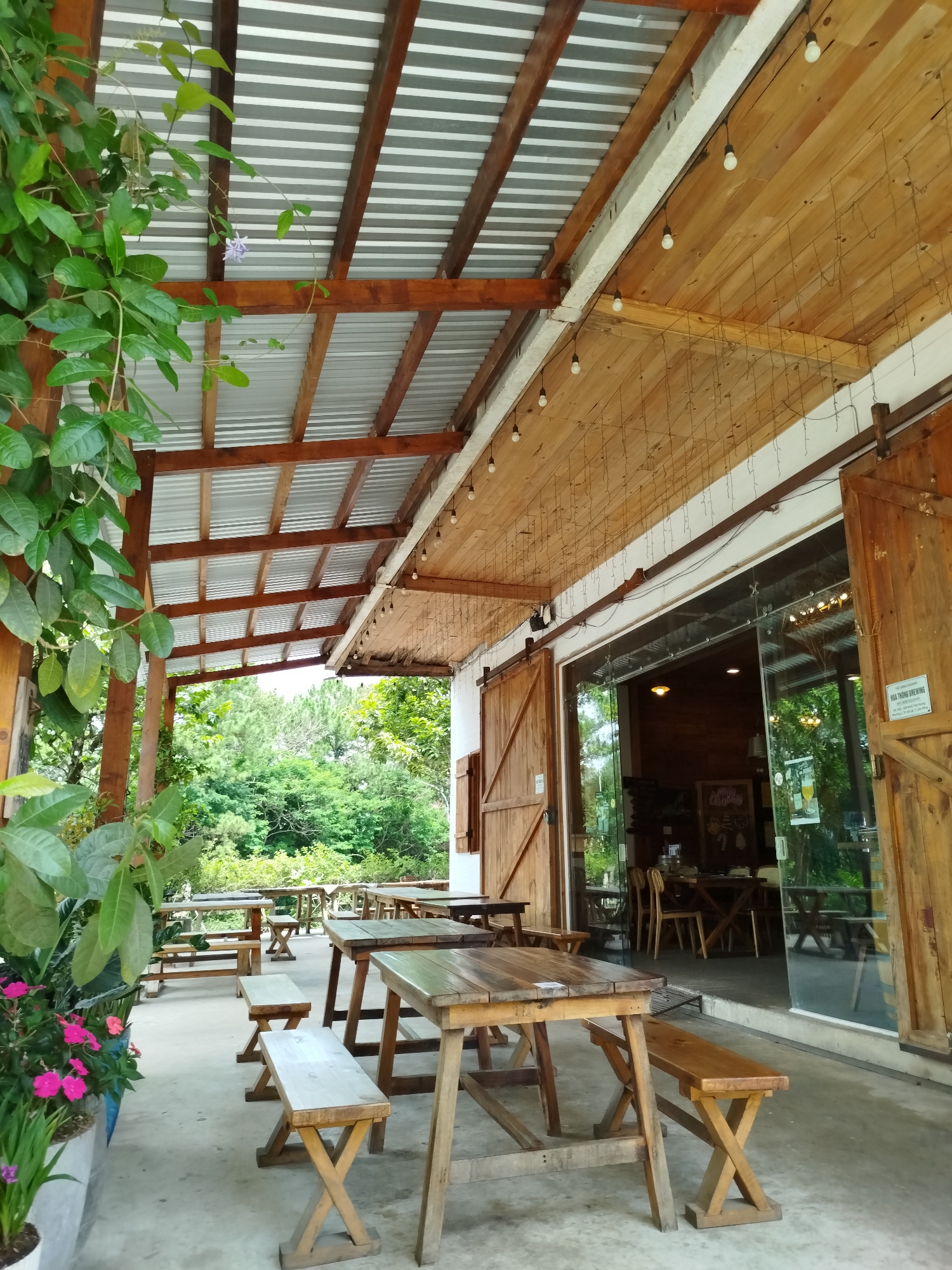 The image depicts the outdoor seating area of a cafe or restaurant in Da Lat, Vietnam. The space is covered by a roof made of corrugated metal supported by wooden beams. String lights are suspended from the wooden ceiling above the outdoor area. The seating consists of numerous rustic wooden tables and benches arranged on a concrete floor. Lush green trees and foliage are visible in the background, suggesting a natural or park-like setting. Large sliding wooden doors and glass panels lead into the interior of the establishment, where more tables and chairs can be seen. Potted plants with vibrant pink flowers are placed near the seating area. The overall ambiance appears relaxed and casual.