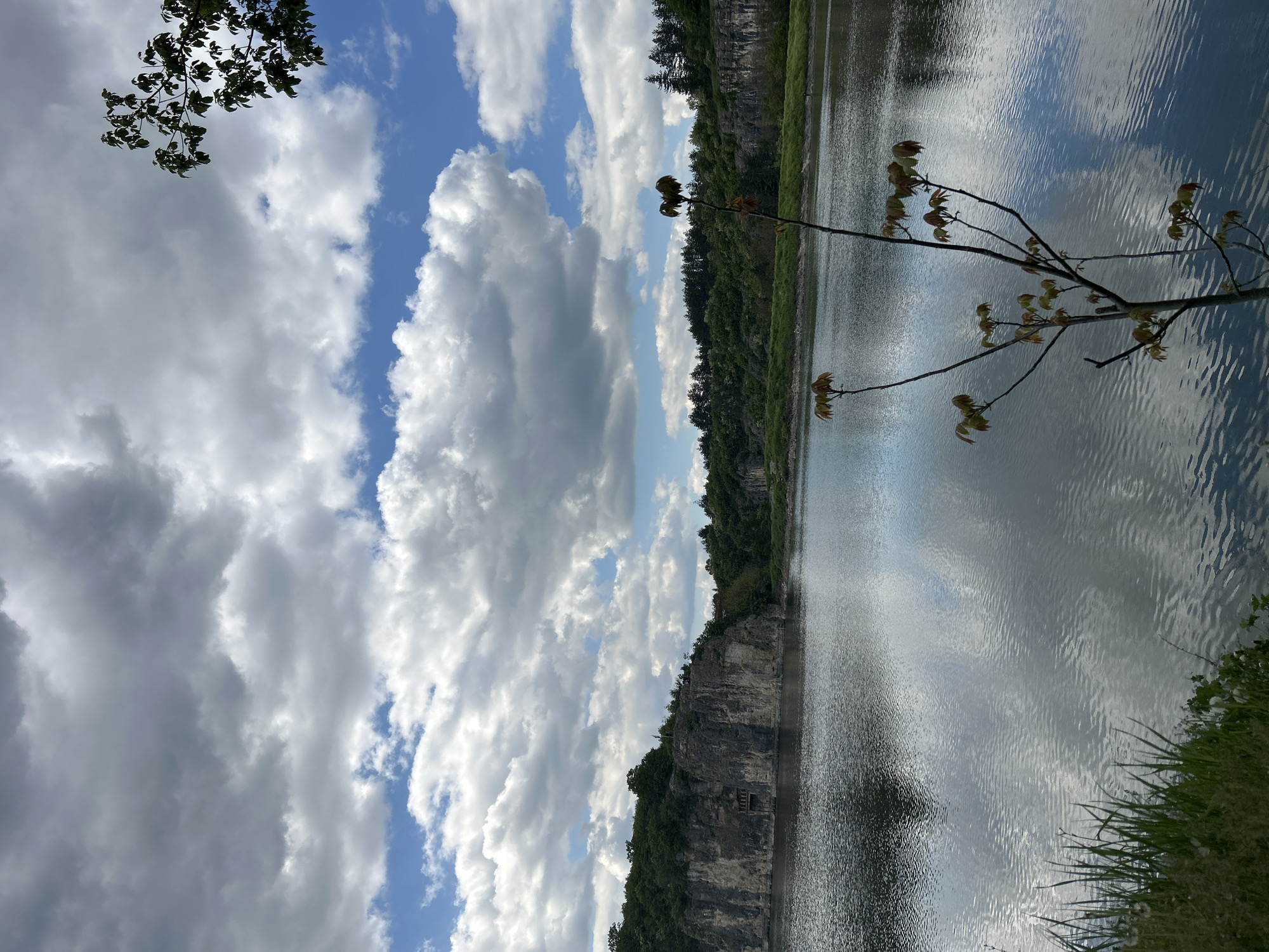 The image shows a body of water with cliffs and vegetation on one side, and the sky with clouds on the other. A branch extends into the view from the right, with small leaves sprouting. The water's surface reflects the sky and clouds. The location is near Pleven, Bulgaria, based on visual cues like the rock formations and vegetation. No people or animals are visible. The scene appears to be a natural or semi-natural environment.